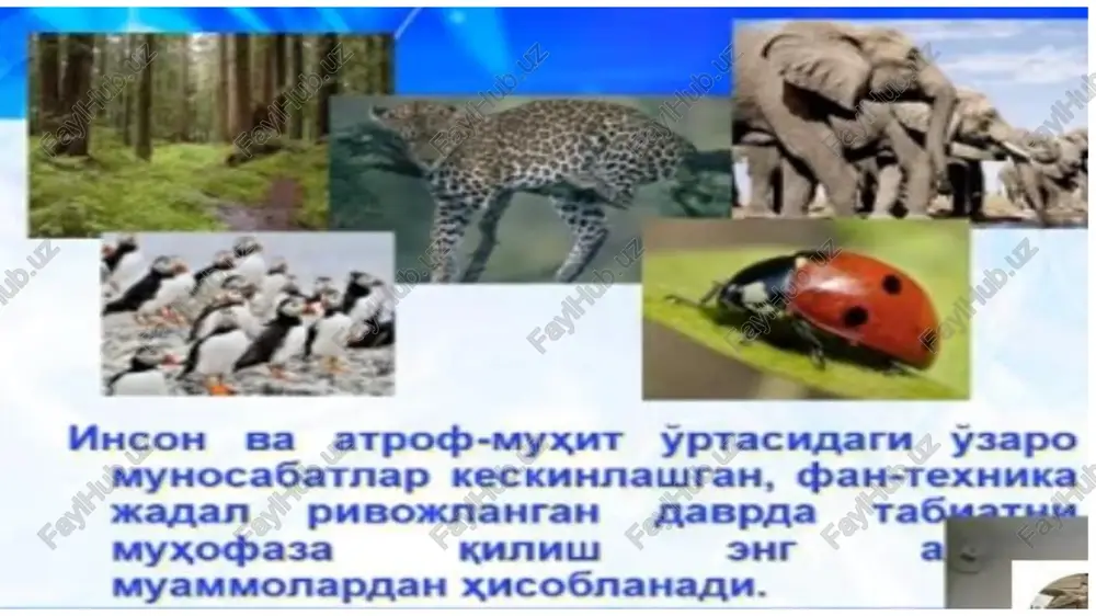 nligidan insoniyat behad azob chekmoqda. xx asr tugab xxi asrning dastlabki kunlarida, asrlar tutash kelgan pallada butun insoniyat, mamlakatimiz aholisi juda katta ekologik xavfga duch keldi. sayyoramizdagi ekologik muammolar sun’iy tog’lar hosil bo’lishi atmosfera ifloslanishi va unda o2 ning kamayishi havo haroratining ko’tarilishi atmosferada ozon qatlami (o3) ning yemirilishi demografik o’sish va hokazo ichimlik suv va suvning ifloslanishi suv sathining ko’tarilishi tuproq erroziyasi va uning ifloslanishi ekologik muammoni hal etish barcha xalqlarning manfaatlariga mosdir. sivilizatsiyaning hozirgi kuni va kelajagi ko’p jihatdan ekologik muammoning hal qilinishiga bog’liqdir. o’zbekiston respublikasi dunyodagi barcha mamlakatlar, jumladan markaziy osiyo mintaqasidagi davlatlar bilan hamkorlik va hamjihatlikda tabiatni, atrof muhitni himoya qilish, tabiiy zahiralardan oqilona foydalanish masalalariga katta e’tibor va ahamiyat berib kelinmoqda. buning natijasi o’laroq, atrof-muhitni muhofaza qilishni ta’minlashga qaratilgan qonun hujjatlari respublikamizda ko’plab qabul qilingi. o’zbekiston respublikasi konstitutsiyasining 50-moddasida belgilab qo’yilganidek “fuqarolar atrof, tabiiy muhitga ehtiyotkorona munosabatda bo’lishga majburlar”. global ekologik muammolar dunyo bo'yicha kuzatiladigan …