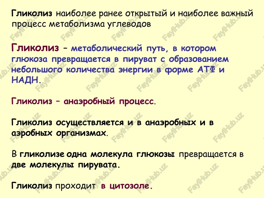 yutsya s obrazovaniem nadn glyukoza+ 2 adf + 2 nad+ + 2 pi 2 piruvat + 2 atf + 2 nadn + 2 h+ + 2 h2o vo vremya prevrasheniya glyukozi v piruvat: * nauchnie issledovaniya fermentatsii vinogradnogo saxara bili pervimi issledovaniyami glikoliza * ispolzovanie piruvata * metabolizm piruvata k etanolu etanol obrazuetsya iz piruvata v drojjax i nekotorix mikroorganizmax v anaerobnix usloviyax. dve reaktsii: 1. dekarboksilirovanie piruvata v atsetaldegid. ferment - piruvatdekarboksilaza. koferment – tiamin pirofosfat (b1) 2. vosstanovlenie atsetaldegida v etanol. ferment – alkogoldegidrogenaza koferment – nadn. * laktat obrazuetsya iz piruvata v anaerobnix usloviyax. prevrashenie glyukozi v laktat nazivaetsya molochnokislim brojeniem. ferment - laktatdegidrogenaza. koferment – nadn. metabolizm piruvata v laktat * glyukozo-1-fosfat prevrashaetsya v glyukozo-6-fosfat fosfoglyukomutazoy. * neperenosimost laktozi (gipolaktaziya) obuslovlena defitsitom laktazi, kotoraya rassheplyaet laktozu do glyukozi i galaktozi. mikroorganizmi v tolstom kishechnike fermentiruyut neperetravlennuyu laktozu v molochnuyu kislotu generiruya metan (ch4) i vodorod (h2) …