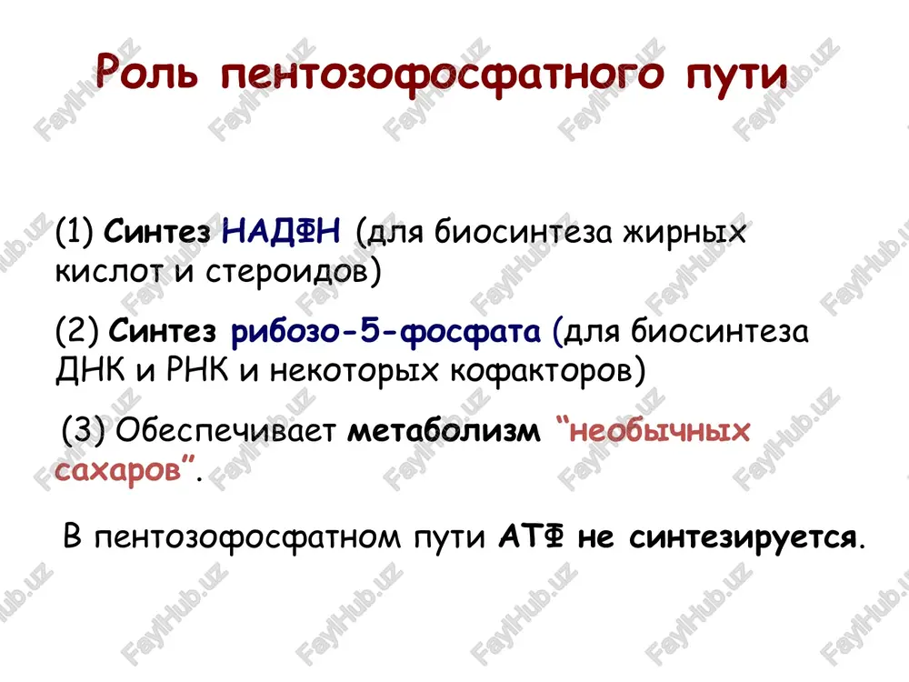 pentozofosfatniy put - Page 2