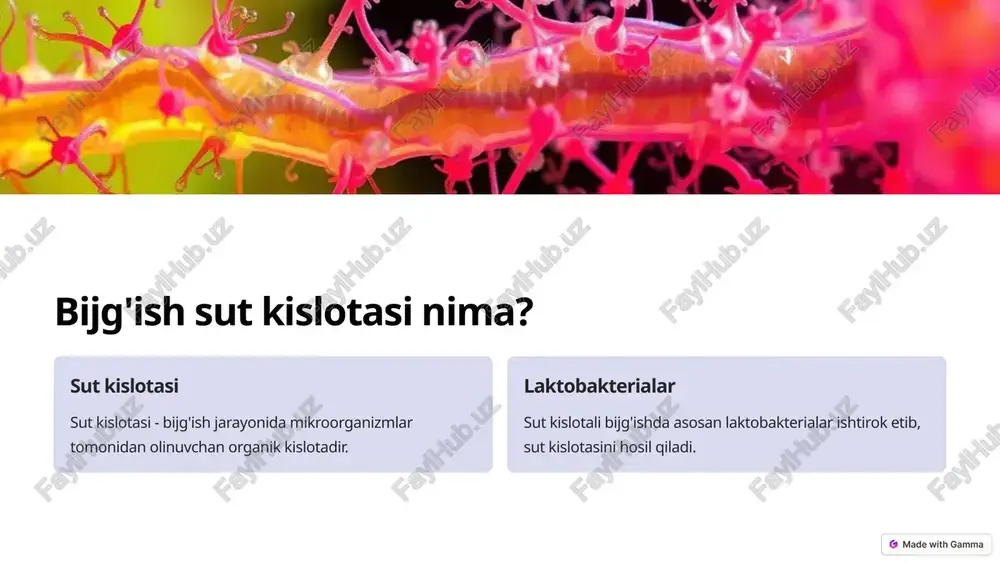 ulotlari iste'mol qilish sohalari chegaralangan va ayniqsa, ularda achish jarayoni davom etishi mumkin. 6 spirtli bijg'ish va sut kislotali bijg'ishning qo'llaniladigan sohalar oziq-ovqat sanoati spirtli bijg'ish mahsulotlari (pivo, araq, spirt) va sut kislotali bijg'ish mahsulotlari (qatiq, ayron, turshalar) oziq-ovqat sanoatida qo'llaniladi. farmatsevtika sut kislotasi va spirt dorivor moddalar ishlab chiqarishda, antiseptiklar va dezinfektantlar tayyorlashda qo'llaniladi. yoqilg'i va kimyo spirtli bijg'ish natijasida olinadigan spirt biodizel va boshqa yoqilg'ilar tayyorlashda, kimyoviy moddalar sintezida ishlatiladi. 7 spirtli bijg'ish va sut kislotali bijg'ishning taqqoslash afzalliklari spirtli bijg'ish energetik jihatdan boy, sut kislotali bijg'ish esa inson salomatligiga foydali. kamchiliklari spirtli bijg'ish mahsulotlarining iste'moli zararli, sut kislotali bijg'ish mahsulotlari esa cheklangan sohalarda qo'llaniladi. 8 spirtli bijg'ish va sut kislotali bijg'ishni tanlash mezonlari 1 maqsad 2 xomashyo donlar, mevalar, sabzavotlar 3 texnologiya bijg'ish jarayoni, uskunalar 4 mahsulot xususiyatlari energetik qiymat, foydali ta'siri 5 qo'llanish sohalari oziq-ovqat, farmatsevtika, kimyo 9 xulosa va tavsiyalar 2 asosiy turlari spirtli bijg'ish …