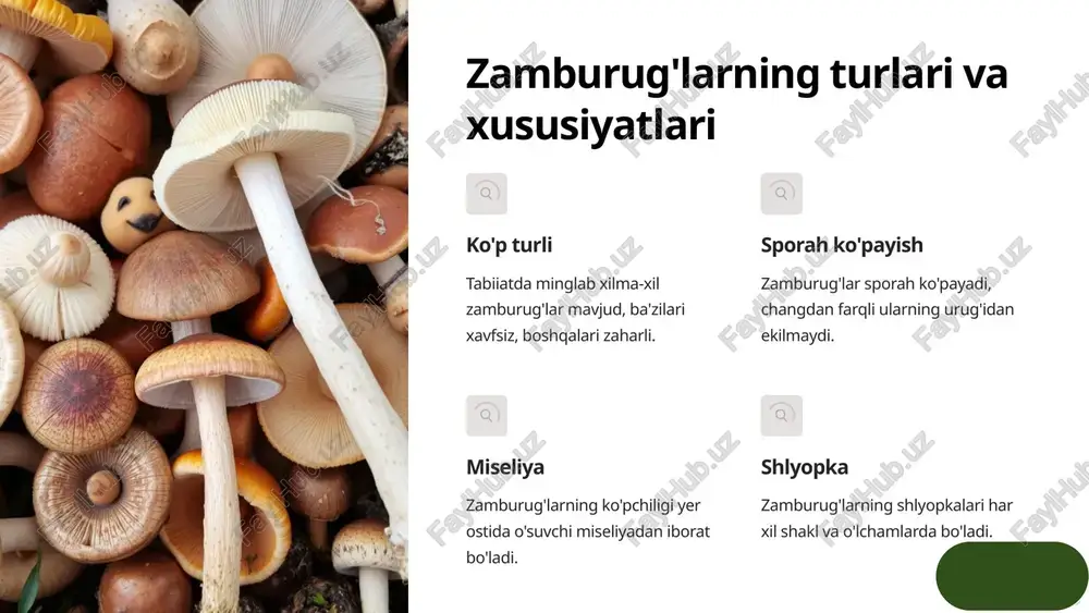 va ularning odam hayotidagi roli 1 oziq-ovqat manbai ko'plab xalqlar uchun zamburug'lar muhim oziq-ovqat manbayi hisoblanadi. 2 dori-darmon turli xil zamburug'lardan dori-darmonlar tayyorlanadi va ulardan foydalaniladi. 3 zaharlanishlar ba'zi zaharli zamburug'lar og'ir zaharlanishga va hatto o'limga olib kelishi mumkin. 4 madaniy ahamiyat ayrim xalqlarda zamburug'lar qadimiy odatlar, odetlar va marosimlarning bir qismi hisoblanadi. 6 zamburug'lar va ovqatlanish taomlar uchun foydalanish zamburug'lar ovqatlarning tarkibiy qismi va ta'mi, to'qdiruvchiligi va hazm qilish xususiyatlari uchun ishlatiladi. oziq-ovqat sanoatida qo'llanilishi zamburug'lar konserva, qaynatma, quritma va boshqa oziq-ovqat mahsulotlarini tayyorlashda ahamiyatli xomashyo manbayi hisoblanadi. 7 oziq ovqatdagi roli: ayrim zamburug'lar iste'mol qilinadi. qora mog'or yoki oq mog'or ozuqa buzilishiga sabab bo'lishi mumkin. misollar: shampinyon truffle tuproqdagi ahamiyati: organik moddalarni parchalab, gumus hosil qiladi. tuproq unumdorligini oshirish va aylanishida ishtirok etadi. misollar: gumus hosil qiluvchi zamburug’lar tibbiy ahamiyati: antibiotiklar ishlab chiqarish (penitsillin va boshqa preparatlar), kasalliklar keltirib chiqarish. misollar: candida aspergillus sanoatdagi roli: spirt, pivo va …