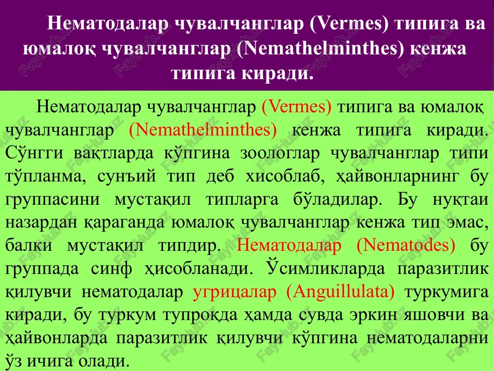 ing anal teshigidan narida joylashgan orqa uchi dum deb aytiladi. nematodalar dumi bigizsimon, tsilindrik va bulavka shaklida bo'ladi; bulavka shaklli nematodalar ayniqsa ko'p uchraydi va ular dumning ingichka qismining yuqoriroq qismi bir oz, ba'zan esa anchagina kengayishi bilan xarakterlanadi. fitonematodalarning anatomiyasi tanasining oldingi uchida ko'pincha 3 yoki 6 ta labchalar bilan o'ralgan og'iz teshigi bo'ladi. labchalarda va labchalar orqasida kontsentrik gruppa bo'lib joylashgan chuqurchalar, tukchalar yoki so'rg'ichchalar tarzidagi sezuv organlari bor. labchalarning eng yirigi chuvalchangning orqa tomonida joylashadi; nematodalar labchalar yordamida og'iz teshigi bilan yopishadi va oziq bo'ladigan substratni tutib turadi. nematodalar terisining sirti silliq yoki har xil naqshdor bo'ladi. nematoda terisi ko'pincha xira oqish, sarg'ish yoki suvsimon-tiniq rangda bo'ladi; ba'zan terisi kul rang yoki qo'ng'ir tusda bo'ladi; tiniq nematodalarning rangi ichak ichidagi narsalarga bog'liq; bo'lishi mumkin va bunday xollarda nematoda odatda suvsimon tiniq oqish, pushti, sarg'ish yoki ko'kish rangda bo'ladi. ovqat hazm qilish sistemasi og'iz bo'shlig'idan boshlanuvchi halqum, o'rta …