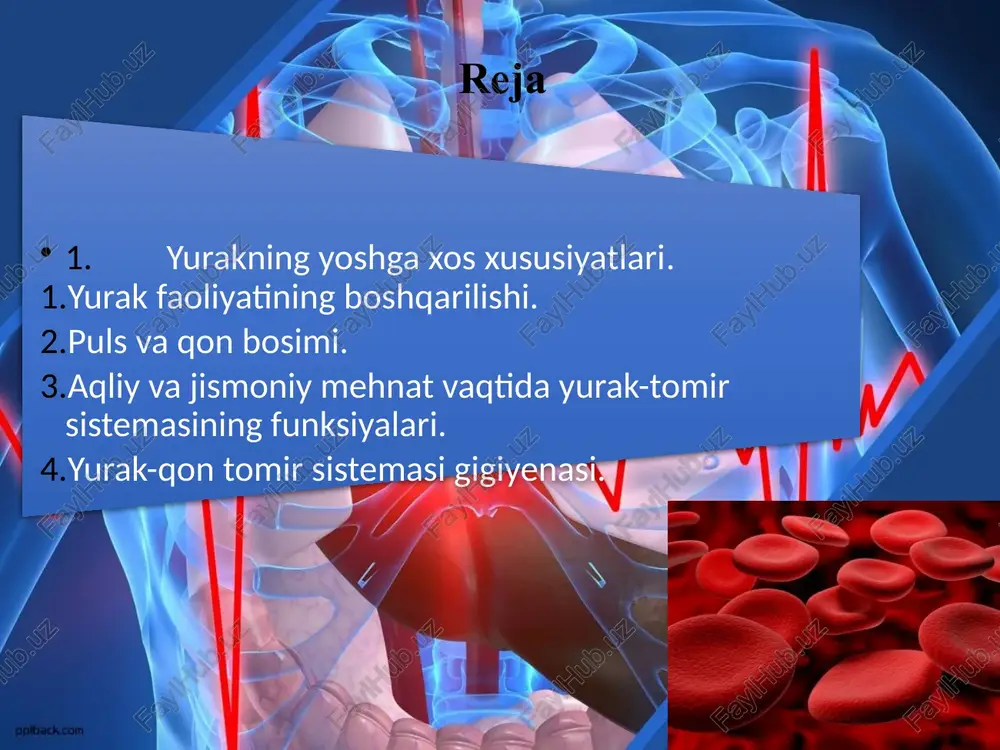 mi. stroenie serdtsa serdtse sostoit iz dvux polovin: pravaya polovina – venoznaya levaya polovina – arterialnaya peregorodki mejpredserdnaya mejjeludochkovaya kameri serdtsa pravoe predserdie levoe predserdie praviy jeludochek leviy jeludochek predserdiya emkost okolo 100-180 ml v pravoe predserdie vxodyat verxnyaya i nijnyaya polie veni v levoe predserdie vxodyat legochnie veni soedinyayutsya s jeludochkami pri pomoshi predserdno-jeludochkovix otverstiy jeludochki forma piramidi verxushkoy vniz na vnutrenney poverxnosti naxodyatsya myasistie trabekuli i konusovidnie sosochkovie mishtsi mishtsi posredstvom suxojilnix xord prikreplyayutsya k stvorkam iz pravogo jeludochka - vixodit legochnoy stvol iz levogo jeludochka – vixodit aorta stroenie serdechnoy stenki vnutrenniy sloy – epitelialnaya tkan (endokard) sredniy sloy – poperechnopolosataya mishechnaya tkan (miokard) narujniy sloy - epikard endokard vistilaet polosti iznutri sostoit iz soedinitelnoy tkani s elasticheskimi voloknami i gladkomishechnimi kletkami+endoteliy obrazuet predserdno-jeludochkovie klapani, klapani aorti, legochnogo stvola, zaslonki nijney poloy veni i venechnogo sinusa oporoy dlya klapannogo apparata slujat fibroznie koltsa klapani serdtsa mitralniy i …