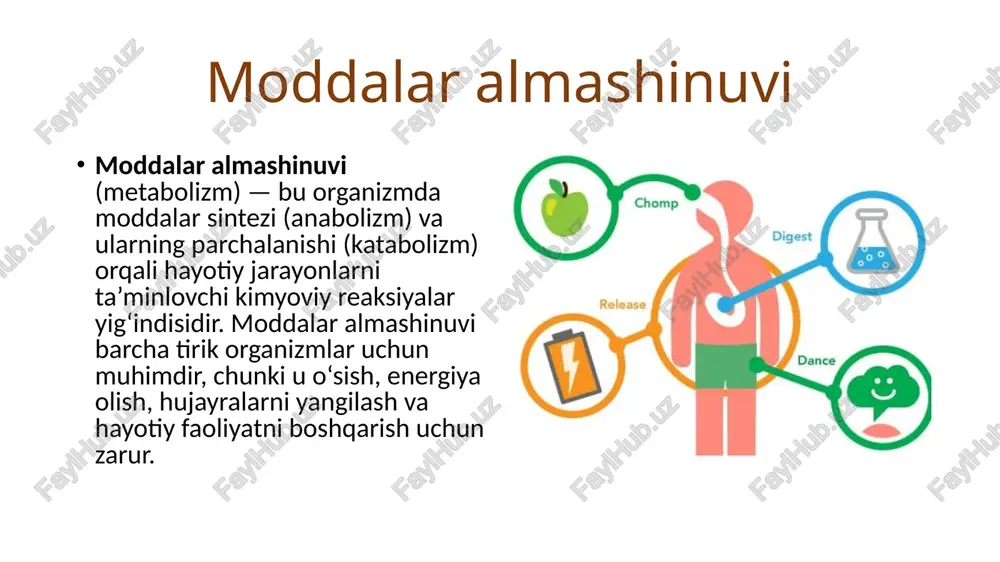 ulin: qondagi glyukoza miqdorini kamaytiradi. glyukozani hujayralarga kirishini rag‘batlantiradi va glikogen shaklida zaxiralashni ta'minlaydi. yog‘ va oqsil sintezini kuchaytiradi. glukagon: glyukogenni glyukoza molekulalariga parchalaydi (glyukogenoliz). qondagi glyukoza miqdorini oshiradi. adrenalin va noradrenalin: stress holatlarida energiya hosil bo‘lishini tezlashtiradi. yog‘lar va glikogennni parchalaydi, energiya ishlab chiqarishni kuchaytiradi. tiroksin va triyodtironin (qalqonsimon bez gormonlari): asosiy metabolik darajani oshiradi, organizmning umumiy energiya talabini boshqaradi. nerv tizimi orqali boshqaruv markaziy nerv tizimi (asosan gipotalamus) energiya almashinuvining markaziy boshqaruv markazi hisoblanadi. ochlik va to‘qlik signalizatsiyasi: gipotalamus ochlikni va to‘qlikni nazorat qiladi. leptin (to‘qlik gormoni) va grelin (ochlik gormoni) bu jarayonga ta'sir qiladi. avtonom nerv tizimi: simpatik nerv tizimi energiya ishlab chiqarishni tezlashtiradi (mushak qisqarishida va stressda). parasimpatik nerv tizimi esa dam olish vaqtida energiya zaxirasini tiklaydi. image1.jpeg image2.jpeg image3.jpeg image4.jpeg image5.jpeg image6.jpeg image7.jpeg image8.jpeg chomp digest zn aixaw ) a i = + rae =~. 7 r “2 - “ ovgat tarkibidagi potentsial energiya ximiyaviy, …