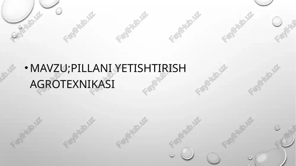 chilikda yuqori oʻsish surʼatlariga erishildi, pilla yetishtirish deyarli 3 baravarga koʻpaydi. 1991-yilda respublikada 33,8 ming tonna pilla tayyorlandi. 1993-yildan pilla yetishtirish davlat buyurtmasidan chiqarilib, uni harid qilish erkin kelishilgan narxlar asosida olib boriladi. respublikada pillachilik tarmogʻida 13 hududiy (viloyat) "pilla" aksiyadorlik birlashmasi, 122 tuman "pilla" aksiyadorlik jamiyatlari, tut urugʻi, niholi, koʻchatlari yetishtirishga ixtisoslashgan 10 shirkat xoʻjaligi, 3 ta naslli urugʻchilik zavodi (andijon, samarqand, fargʻona), 13 pillachilik - tuxumchilik zavodi (andijon, asaka, buxoro, shahrisabz, navoiy, namangan, samarqand, toshkent, kattaqoʻrgʻon, fargʻona, qoʻqon, urganch, xoʻjaobod), 8 pillakashlik korxonalari (toshkent "tola", "margʻilon ipagi", fargʻona "buyuk ipak yoʻli", samarqand "hujum", "buxoro ipagi", "namangan ipagi", "bulokboshi ipagi", "xorazm ipagi") aksiyadorlik jamiyatlari faoliyat koʻrsatadi. 2002-yilda respublika pillachilikda 21500 tonna tirik pilla, 8290,2 tonna quruq pilla tayyorlandi, 1003,2 tonna xom ipak, 130 tonna yigirilgan ipak ipi ishlab chiqarildi, 415 ming quti ipak qurti tuxumi tayyorlandi, 1,5 million dona tut koʻchati yetishtirildi. tarmoqda 19 mingga yaqin xodimlar band. tutchilik, …