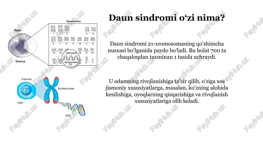 h daun sindromi bo‘lgan bolaning oilasi mutaxassislar va ijtimoiy xizmatlardan yordam va ma’lumotlarga muhtoj. inklyuziv jamiyat daun sindromi bilan og‘rigan odamlar o‘zlarini to‘laqonli a’zo deb his qiladigan inklyuziv jamiyatni yaratish muhim vazifa hisoblanadi. daun sindromining bola rivojlanishiga ta’siri jismoniy rivojlanish daun sindromi bo‘lgan bolalarda jismoniy rivojlanish sekinlashishi mumkin, ammo maxsus jismoniy terapiya yordamida ular sezilarli muvaffaqiyatlarga erishishlari mumkin. nutqni rivojlantirish nutq sekinroq rivojlanishi mumkin va daun sindromi bo‘lgan bolalar nutq terapiyasiga muhtoj bo‘lishi mumkin. kognitiv rivojlanish daun sindromi bo‘lgan bolalarda kognitiv rivojlanish sekinlashishi mumkin, ammo maxsus o‘qitish usullari va erta aralashuv yordamida ular muvaffaqiyatli o‘rganishlari mumkin. ijtimoiy rivojlanish daun sindromi bo‘lgan bolalar ko‘pincha ajoyib ijtimoiy ko‘nikmalarga ega va odamlar bilan muloqot qilishdan mamnun. xulosa: inklyuziv kelajak uchun birgalikda daun sindromi - bu bolaning to‘laqonli hayotiga to‘sqinlik qilmaydigan xususiyatdir. erta aralashuv, oilani qo‘llab-quvvatlash va inklyuziv jamiyat daun sindromi bo‘lgan har bir bolaga o‘z salohiyatiga yetishish uchun o‘sishga va rivojlanishga yordam beradi. …