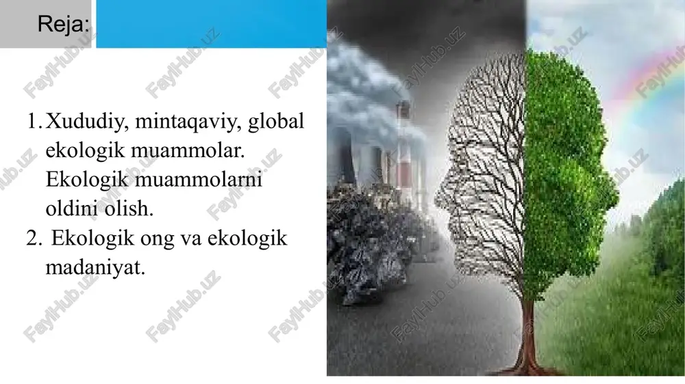 muhofaza qilish. terrassalar tashkil etish: qiyalik hududlarda terrassalar tashkil etish. o'rmonlarning kesilishining asosiy sabablari quyidagilardir: qishloq xo'jaligi: yangi ekin maydonlari va chorvachilik yerlari tashkil qilish uchun o'rmonlar kesiladi. yog'och sanoati: yog'och va yog'och mahsulotlariga talab yuqori bo'lgani sababli, o'rmonlar kesiladi. shaharsozlik: yangi shaharlar va qishloqlar qurish uchun o'rmonlar yo'q qilinadi. konchilik va neft qazib olish: qimmatbaho minerallar va neft qazib olish uchun o'rmonlar kesiladi. o'rmonlarning kesilishi quyidagi salbiy oqibatlarga olib keladi: biologik xilma-xillikning kamayishi: o'rmonlar ko'plab turli hayvonlar va o'simliklar uchun yashash joyi hisoblanadi. ularning yo'qolishi bilan ko'plab turlar yo'qolib ketadi. iqlim o'zgarishi: o'rmonlar karbon dioksidni yutib olib, global isishning oldini oladi. ularning kesilishi karbon dioksidning miqdorini oshiradi va iqlim o'zgarishiga olib keladi. tuproq eroziyasi: o'rmonlar tuproqni shamol va suv eroziyasidan himoya qiladi. ularning yo'qolishi tuproq unumdorligini pasaytiradi. mahalliy aholi va jamoalarga ta'siri: o'rmonlar ko'plab mahalliy aholi uchun yashash joyi va turmush vositalarini ta'minlaydi. ularning yo'qolishi bu jamoalarning hayotiga salbiy …