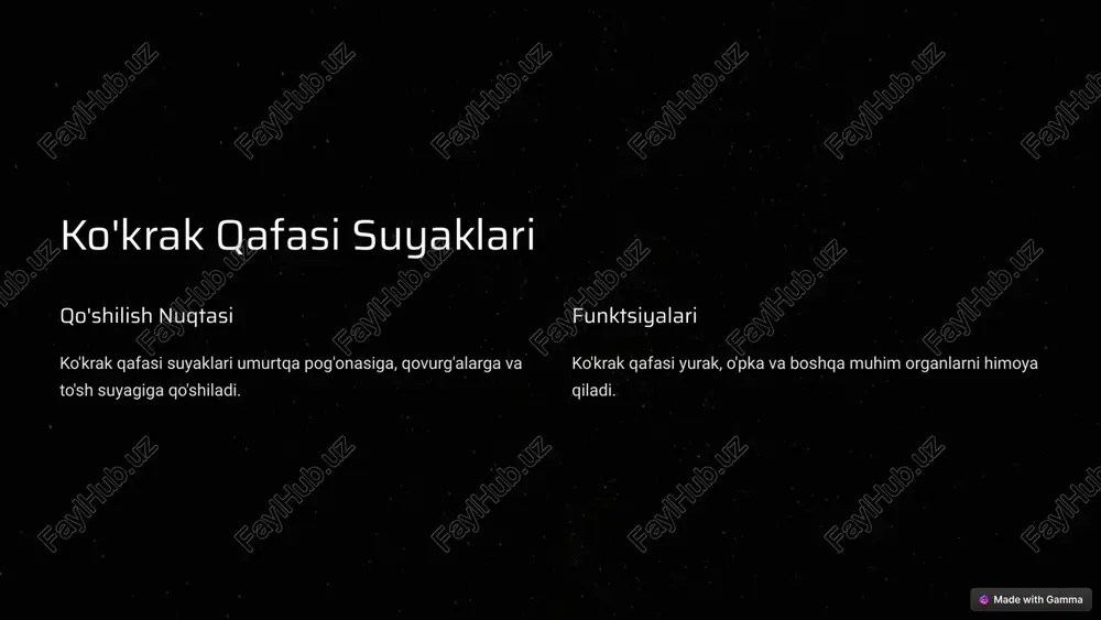 vvatlaydi. 5 dumg'aza umurtqalari dumg'aza umurtqalari chanoq suyagiga qo'shiladi. 8 qo'l va oyoq skeleti 1 qo'l qo'l yelka, bilak va qo'l suyaklaridan iborat. 2 oyoq oyoq son, to'piq va oyoq suyaklaridan iborat. 3 qo'shilish nuqtasi qo'l va oyoq suyaklari turli bo'g'imlar bilan birlashtirilgan. 9 gavda muskullari 1 torso gavda muskullari tananing asosiy qismini qoplaydi. 2 qo'llar qo'l muskullari qo'llarni harakatga keltiradi. 3 oyoqlar oyoq muskullari oyoqlarni harakatga keltiradi. 10 image-1002-1.jpeg image-1002-2.png image-1-1.jpeg image-1-2.png image-1003-1.jpeg image-1003-2.png image-1004-1.jpeg image-1004-2.png image-3-1.jpeg image-1005-1.jpeg image-1005-2.png image-4-1.jpeg image-1006-1.jpeg image-1006-2.png image-5-1.jpeg image-5-2.png image-5-3.png image-1007-1.jpeg image-1007-2.png image-6-1.jpeg image-1008-1.jpeg image-1008-2.png image-7-1.jpeg image-7-2.png image-7-3.png image-7-4.png image-1009-1.jpeg image-1009-2.png image-8-1.png image-8-2.png image-8-3.png image-8-4.png image-8-5.png image-1010-1.jpeg image-1010-2.png image-1011-1.jpeg image-1011-2.png image-10-1.jpeg 4 made with gamma 4 made with gamma 4 made with gamma 4 made with gamma 4 made with gamma 4 made with gamma 4 made with gamma 4 made with gamma y 6|(n 4 made with gamma 4 made with gamma