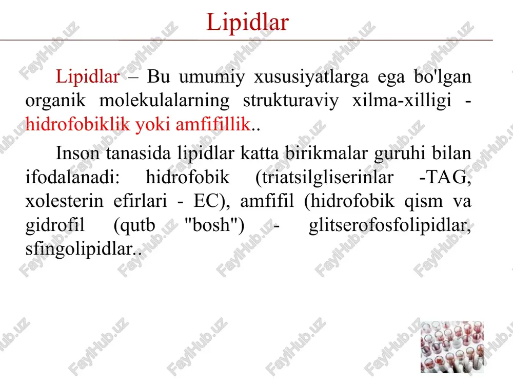 pishib qolishiga to'sqinlik qiluvchi sirt faol moddaning tarkibiy qismi (bu holda, r1 va r2 palmitik kislotalardir) hujayra membranalari, lipoproteinlar yuzasida mono qatlam, o'pka alveolalari sfingofosfolipidlar-sfingomiyelinlar nerv to'qimasi hujayra membranalarining asosiy tarkibiy qismlari neyronlarning miyelin qobig'i, miyaning kulrang moddasi stroenie i funktsii osnovnix klassov lipidov cheloveka lipidlar sinfi struktura diagrammasi funksiyalar xususiy lokalizatsiya glikolipidlar: serebrozidlar, agar x-monosaxarid; gangliozidlar, agar murakkab tarkibli x-uglevodlar nerv to'qimalarining hujayra membranalarining tarkibiy qismlari, turli turdagi hujayralar yuzasida antigen tuzilmalar; retseptorlari, hujayralar o'zaro ta'sirini ta'minlaydigan tuzilmalar hujayra membranalarining tashqi qatlami steroidlar xolesterin va uning hosilalari membran komponenti, safro kislotalari va steroid gormonlar sintezida kashshof hujayra membranalari, qon lipoproteinlari jirnie kisloti to'yingan qo'sh aloqalarni o'z ichiga olmaydi to'yinmagan (2-tag pozitsiyasida) qo'sh bog'larni o'z ichiga oladi n3s – sn2 – sn2 – (sn2)k – soon umumiy formula snh2n+1cooh n3s – (sn2)1 – sn = ch - (sn2)d – soon umumiy formula snh(2n+1)- 2mcooh, gde k, l, d – soni …