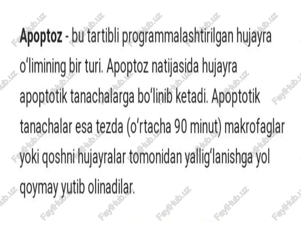 apoptosoma degan organellani hosil qilishda ishtirok etadi. apaf-1 va sitoxrom c ga prokaspaza-9 ogsili qo'shilib yetuk apoptosomani hosil qiladi. apoptosoma sitoplazmadagi kaspaza-9 ogsillarni topib, ularni prokaspaza-3 ogqsillari bilan qoshadi va apoptozda ishtirok etadigan tayyor kaspaza-3 ogsilini hosil qiladi. aif-flavoproteini kaspaza va prokaspaza oqsillaridan aloxida apoptozda ishtirok etadi. kaspaza-9 hujayra sitoplazmasida kaspazalar kaskadini hosil qiladi. kaspazalarning asosiy vazifasi hujayrada joylashgan hamma organoidlarni parchalash bilan bo‘g'liq. kaspazalar yadro membranalarini, sitoskelet oqsillarini, hujayralar o'rtasidagi bo‘lgan birikishlarni buzilishida istirok etadi. « apoptozning ahamiyati ¢ ko'p hujayrali organizmlarda morfogenez, differentsiatsiya, immunitet jarayonlari apoptozsiz sodir bo‘la ololmaydi. organizmda kasal va shikastlangan hujayralarni yoqotishda ham aynan apoptoz mexanizmi ishlatiladi. sy smac/diablo f htra2, — 9 kacnasa-8 5 iap's yank 2 ae at 's —) cml anonto- ru6enu —— — cyt.c— coma _ 9—~ kacnasa-3 | hsp ? kk hsp's | genku hsp hsp 272 | [—) bcl-2 bcl-2 aven hsp g51 [hsp's (exes) aif endo g apoptosoma …