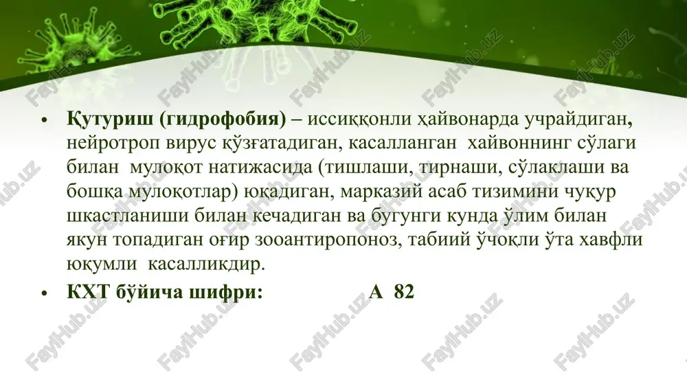 sarflanadi this presentation uses a free template provided by fppt.com www.free-power-point-templates.com 5 etiologiyasi quturish kasalligini o'zida rnk saqlaydigan, rabdoviridae oilasiga, lussavirus avlodiga mansub bo'lgan neyrotrop virus qo'zg'atadi. virusning o'lchami 100 – 150 nm.ni tashkil qiladi. quturish virusini ikki xili tafovut etiladi «ko'cha» va «fiksirlangan» viruslar. virus barcha issiqqonli hayvonlar va odamlar uchun patogen xisoblanadi. quturishdan o'lgan odam va hayvonlar nerv to'qimalarida babesh - negri tanachalari bo'lib, ular virus koloniyalarini tashkil qiladi. quturish virusi tashqi muxitga uncha chidamli emas: qaynatilganda 2 min. mobaynida nobud bo'ladi, dezinfektsiyalovchi moddalarning odatdagi kontsetratsiyalari virusga xalokatli ta'sir ko'rsatib, tezda nobud qiladi. biroq virus past haroratga chidamlidir. this presentation uses a free template provided by fppt.com www.free-power-point-templates.com epidemiologiyasi va epizootologiyasi kasallik qo'zg'atuvchisining asosiy manba va rezervuarlari bo'lib, yovvoyi yirtqich hayvonlar (bo'ri, chiyabo'ri, tulki, ko'rshapalak) va uy xayvonlari (it, mushuklar) xisoblanadi. kamdan - kam hollarda ot, yirik va mayda shoxli hayvonlar, cho'chqa, sichqon va boshqalar kasallik manbalari bo'lishi …