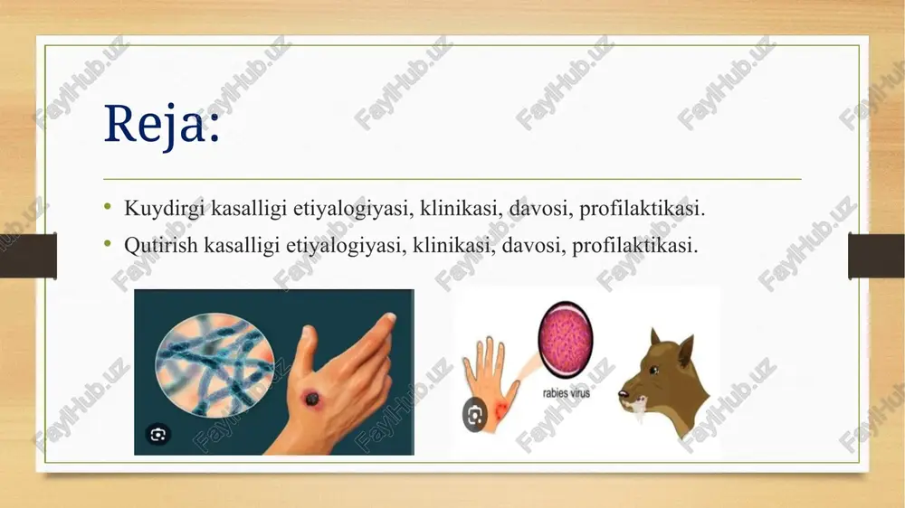a epizootologiya ifloslangan tuproq kuidirgining manbai hisoblanadi. hayvonlar orasida kuidirgining ko’plab tarqalishi yillning fasilga aloqador bo’lib, asosan hayvonlaeni cho’llarda boqish jarayoniga bog’liqdir. hayvonlar o’t va o’simlik ildizlarini yulip chaynaganda kasallanadilar. shuningdek kasallik hayvonlarga havo tomchi yo’li, chang to’zonlar bilan yuqori nafas yo’llari orqali yuqadi. sag’lom hayvonga kuydirgi nransmissiv yo’l boilan turli hil qon so’ruvchilar orqali ham yuqishi mumkin. hayvonlarda kuydirgining klinik bekgilari kasallikning yashirin davri 1-3 kun, ba'zida 8 kun davom etadi. kasallik o’tkir, birdan, ba’zan esa yarim o’tkir yoki yashin tezligida boshlanadi. xastalik yashin tezligida boshlanganda hayvon birdan yiqilib, og’iz, burni va boshqa a’zolaridan qon aralash suyuqlik (ko’pik) ajraladi, hayvon bezotalanadi, qo’zgʻaluvchan bo’lib qoladi, nafas olishi va tomir urishi tezlashadi, tez orada tirishish alomatlari yuz berib, yurak faoliyati susayadi, hayvon nobud bo’ladi. hayvon turli yo’llar bilan zararlanadi: alimentar, sporalar tuproq (o’t-o’lanlar yeganda) va suv (suv ichilganda) bilan yukadi asosan qurgʻoqchilik bo’lganda zararlanadilar . kam hollarda – molxonalarda boqilgan mollar …