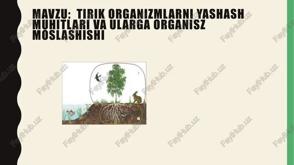 tuprog muhiti - Page 2