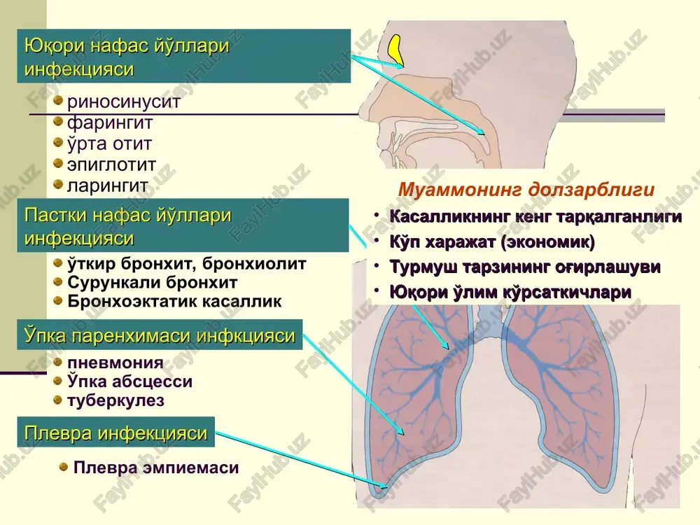 vi buzilishi asoslari toksemiya yallig'lanish jarayoni gipoksemiya kapillyarlar o'tkazuvchanligi ortishi tomirlar tonusi buzilishi pnevmoniyaning tasnifi kelib chiqishi bo'yicha: uy pnevmoniyasi kasalxona pnevmoniyasi perinatal immunitet tanqisligidagi pnevmoniya morfologik ko'rinishi bo'yicha: o'choqli segmentar o'choqlar qo'shilishi krupoz interstitsial kechishi bo'yicha: o'tkir cho'zilgan asoratlar bo'lishiga qarab: asoratlanmagan asoratlangan (toksikoz, infektsion –toksik karaxtlik, sinpnevmonik plevrit, metapnevmonik plevrit, kattalar turidagi respirator distress sindrom, o'pka destruktsiyasi, dvs-sindrom pnevmoniyaning umumiy belgilari nafas olishda yordamchi mushaklarning ishtirok etishi (obstruktsiyasiz) xansirash: - 2 oygacha bo'lgan bolalarda minutiga 60 tadan ortiq; - 2 oydan 1 yoshgacha bo'lgan bolalarda 50 dan ortiq; - 1 yoshdan katta bolalarda 40 dan ortiq. tana haroratining 3 kundan ortiq 38,5 s dan katta bo'lishi; taxikardiya, teri rangining oqarishi, ishtaxasizlik; ko'krak qafasi rentgenogrammasida o'choqli yoki segmentar xarakterli infiltrativ o'zgarishlarning mavjudligi o'tkir pnevmoniyani klinik tashhislash algoritmi ko'ruv boshlanishi t°>38°>3 kun va/yoki hansirash va/yoki qovurg'alar oralig'i ning tortilishi (obstruktsiyasiz) lokal belgilar perkutor tovush ning qisqarishi va/yoki sustlashgan yoki bronxial …