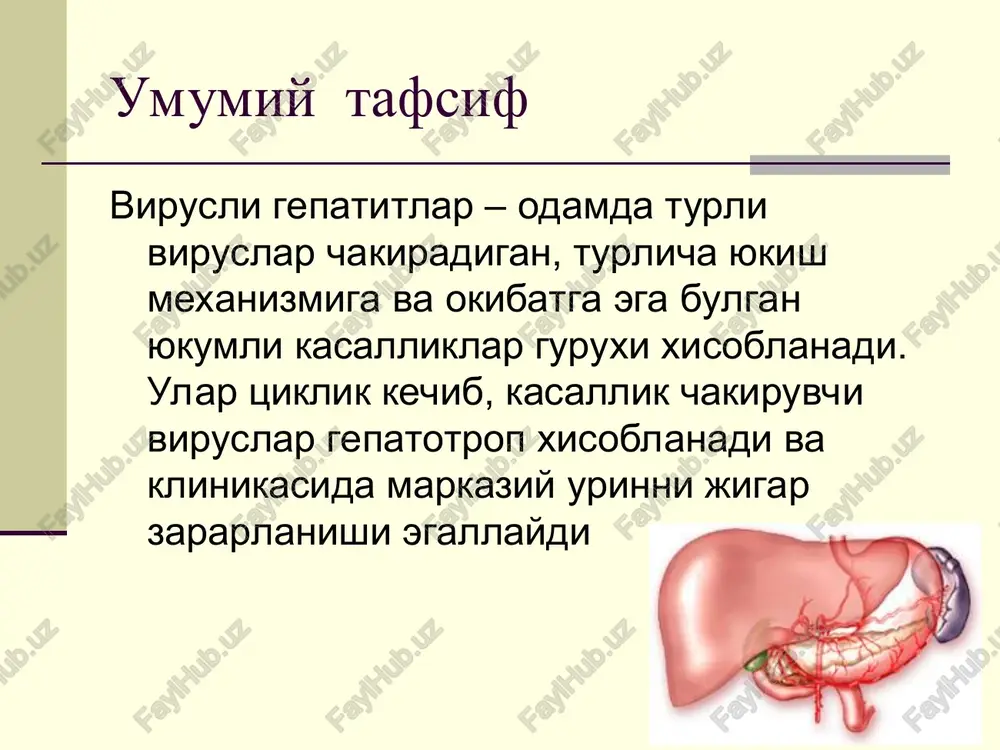 as. vgv – sistemali kasallik ogir kechishi mumkin, ba'zan fulminant (yashinsimon) shaklda umumiy strukturada vg 10-30% ni egallaydi xozirgi vaktda vgv – er sharida eng kup tarkalgan infektsiya xisoblanadi. jaxonda 2 mlrd.dan ortik odamlarda hbv-infektsiya utkazilgan markerlari aniklangan. 400 mln.ga yakin odam hbv ni surunkali tashuvchisi xisoblanadi. ulim sabablari buyicha vg ettinchi urinda turadi, «xayotni potentsial yukotish yillari» kriteriysi buyicha stabil uchinchi urini egallaydi, fakat pnevmoniya va utkir diareyalardan keyin turadi. jaxonda hbv-infektsiya bilan yiliga1 mln.dan ortik ulim boglik, bunga jigar tsirrozi (700 ming atrofida) va birlamchi jigar raki (300 ming) xam kiradi. epidemiologiyasi asosiy kasallik manbai va rezervuar – hbv virus tashuvchilar, surunkali gepatit bilan ogrigan bemorlar, kamrok darajada kasallikning utkir shakli bilan ogrigan bemorlar jinsiy yul bilan yukadi vertikal yukish extimoli yukori (hbeag+ xollarda 80% gacha) shaxsiy gigiena buyumlarini kullaganda zararlangan kon va kon preparatlari kuyilganda turli parenteral muolajalarda surunkali somatik kasalliklari bulgan bemorlar moyillik guruxi (gruppa riska) …