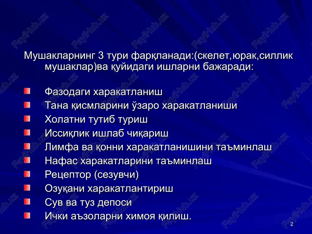 nda yuzaga keladi. mushak qo'zg'aluvchanligi asab qo'zg'aluvchanligidan past (ya'ni bo'sag'asi yuqori). tp-90mv, qkd-40mv,xp-120mv. xpning davomiyligi - 1-3msek. bir butun mushak «bor yoki yo'q» qonuniga bo'ysinmaydi, mushak tolasi esa bo'ysinadi. bir butun mushak qisqarish amplitudasi ma'lum bir darajagacha ta'sirot kuchiga bog'liq bo'ladi. odatda skelet mushagi tetanik (summatsiya) ravishda qisqaradi, u ta'sirot chastotasiga bog'liq xolda tishli va silliq bo'lishi mumkin. chastota yuqori bo'lsa, qisqarishlar qo'shilib, amplituda yuqori (optimum), lekin ma'lum bir chastotagacha…chastotaning cheksiz ortishi amplitudani pasayishiga (pessimumga) olib keladi. uzoq vaqt tetanusdan keyin posttetanik kontraktura kuzatiladi. kontraktura (k) –mushak qisqarishining turi bo'lib, davomiyligi bilan xarakterlanadi. kontraktura bo'lishi mumkin: qaytar(fiziologik) uzoq vaqt ishdan so'ng va qaytmas (patologik) kuygandan keyin, odam o'lgandan so'ng. kontraktura bo'lishiga sabab, sarkoplazmatik retikulumga sa++ ionlarining qayta kiritilmasligidir (atf etishmasligidan). tinch xolatda mushak tonik qisqargan bo'lib, past bo'sag'ali sekin motor birliklar faoliyat holatda bo'ladi,bunda charchash rivojlanmaydi . mushak tonusi intrafuzal afferenttsiyaga bog'liq bo'ladi. odam o'lgandan so'ng mushaklar tonusi yo'qoladi (maytning …