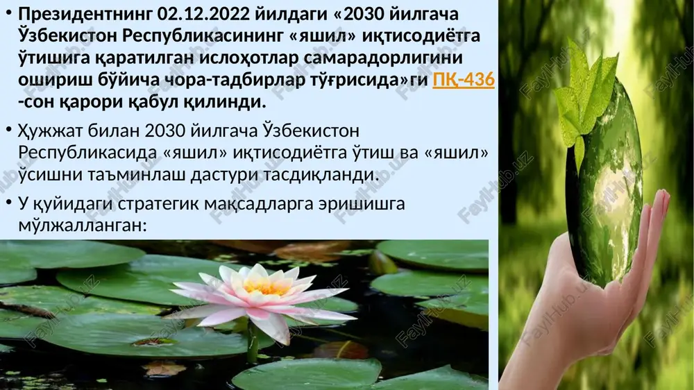 a bo'lishi natijasida xx asr o'rtalarida ekologik muammolar juda avj olib ketdi. ekologik muammo deganda insonning tabiatga ko'rsatayotgan ta'siri bilan bog'liq. inson tsivilizatsiyasining rivojlanishi va uning tabiat bag'riga tobora chuqurroq kirib borishi oqibatida ahvol tubdan o'zgardi. chunki er yuzidagi o'rmonlar qirqildi, katta – katta hududlar dehqonchilik qilish maqsadida o'zlashtirildi, dorilar bilan o'g'itlandi, har xil chiqindi hamda gazlar bilan toza havo va tabiat ifloslandi. bundan tashqari tabiatda toshqinlar, o'rmon yong'inlari, chang bo'ronlari va boshqa tabiiy jarayonlar yuz beradi. bularning barchasi tabiatning tabiiy muvozanatiga putur etkazadi ekologik muammolar dunyo bo'yicha kuzatiladigan tabiiy, antropogen yoki sof antropogen hodisalar umumbashariy muammolar deb qaraladi. ana shunday ekologik muammolarga ba'zi bir misollarni keltirib o'tamiz: «atmosferaning dimiqishi” hodisasi. «ozon qatlamining siyraklanishi” hodisasi. «chuchuk suv” muammosi . «tirik tabiatdagi o'simlik va hayvon turlari sonining qisqarishi” muammosi. «pestitsidlardan foydalanish” muammosi. ozon qatlamining emirilishi ozon qatlamining emirilish sabablari dengiz va okean suvlaring ifloslanishi. atmosferaning ifloslanishi. tuproqning sho'rlanishi va cho'llanishning kuchayishi. …