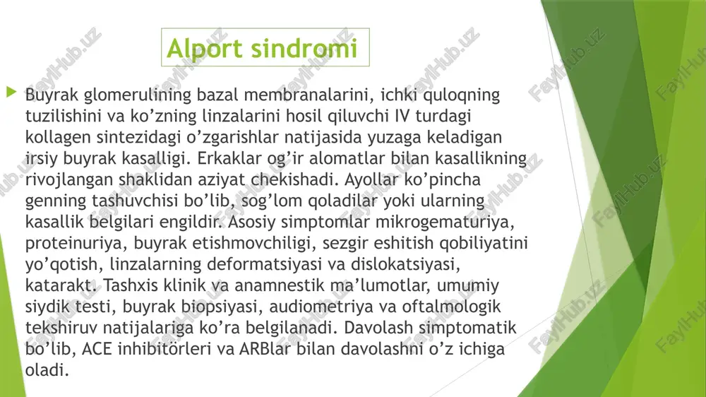 x xromosomasida qolgan normal gen funktsional kollagen ishlab chiqarishni qoplaydi; avtosomal retsessiv. c0l4a3 va col4a4 genlaridagi mutatsiyalar asosida rivojlanadi. ular ikkinchi xromosomada lokalizatsiya qilingan va kollagenning a3 va a4 zanjirlarining tuzilishi uchun javobgardir. sindromning ushbu varianti bo’lgan bemorlar bemorlarning taxminan 15% ni tashkil qiladi. semptomlarning og’irligi jinsga bog’liq emas. o’z tabiatiga ko’ra, sindrom heterojen irsiy kasallikdir – uning rivojlanishi iv turdagi kollagenning turli zanjirlarining tuzilishini kodlaydigan genlardagi nuqson bilan qo’zg’atiladi. genetik o’zgarishlarga deletsiya, splicing, noto’g’ri va bema’ni mutatsiyalar kiradi. ularning joylashuvi kasallikning meros turini aniqlaydi: sabablari avtosomal dominant. nefrit 2-xromosomada joylashgan col4a3-cola4 genlaridagi mutatsiyalar natijasida yuzaga keladi. kasallikning autosomal retsessiv shaklida bo’lgani kabi, 4-toifa kollagenning a4 va a3 zanjirlarining sintezi buziladi. tarqalishi – genetik nefritning barcha holatlarining 1% ni tashkil qiladi. patogenez glomerulyar bazal membrana murakkab tuzilishga ega, u 4-turdagi kollagen molekulalari va polisaxarid komponentlarining qat’iy geometrik ketma-ketligidan hosil bo’ladi. alport sindromida spiral kollagen molekulalarining nuqsonli tuzilishiga olib keladigan mutatsiyalar …