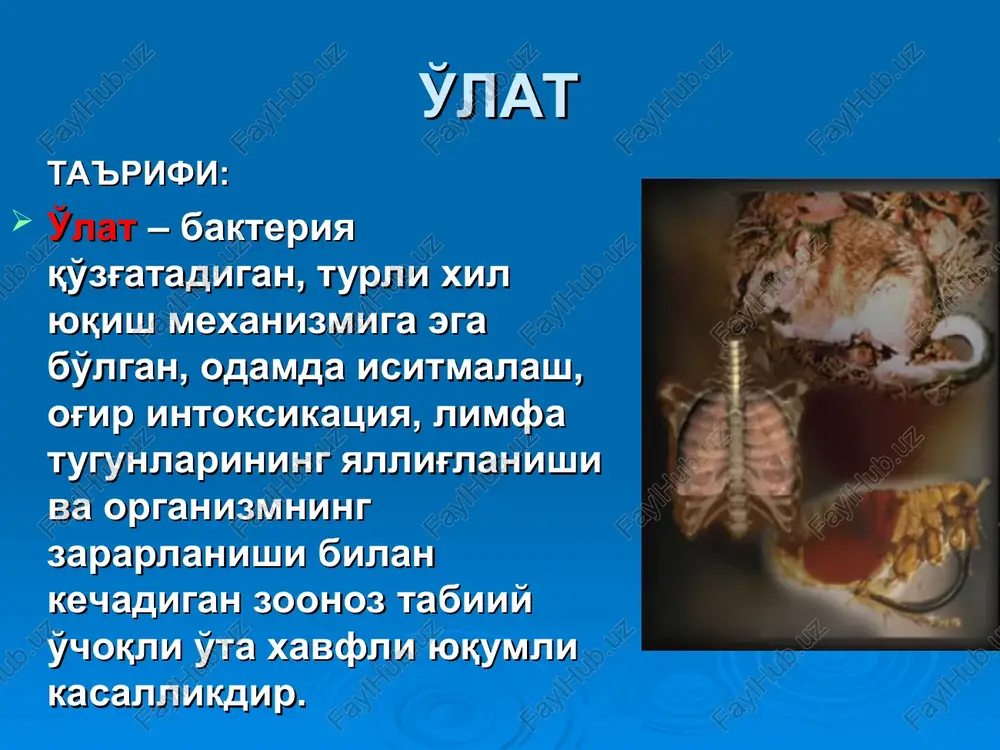 aynida o'lat pandemiyasi dunyoning dengizga yaqin bo'lgan 87 port shaharlarida ro'yxatga olinib, 12 mln.dan ortiq kishi halok bo'lgan. o'latning bo'lib o'tgan pandemiyalarida 200 mln.ga yaqin kishi vafot etgan. tarixiy ma'lumotlar va geografik tarqalishi (davomi) d.k.zabolotniy o'lat tabiiy o'choqli kasallik ekanligi to'g'risidagi gipotezani ilgari surgan bo'lsa, uchinchi pandemiya davrida, aniqrog'i, 1897 yilda frantsuz olimi aleksandr yersin va uning yaponiyalik hamkasbi shibasaburo kitazatolar bemor odam va kalamushdan o'lat kasalligining qo'zg'atuvchisini aniqlagan. tarixiy ma'lumotlar va geografik tarqalishi (davomi) ogata va simonlar 1898 yilda o'lat kasalligi tarqalishida burgalarning roli borligini e'tirof etishgan. d.k.zabolotniy va l.m.isaevlar 1911 yilda cho'ldan tutib olib kelingan kemiruvchi (sug'ur) dan, i.a.deminskiy 1912 yilda yumronqoziqdan o'lat qo'zg'atuvchisini ajratib olgan. bokot va martinlar o'lat qo'zg'atuvchisi yuqqan burgadan «o'lat bloki» fenomenini aniqlashga muvaffaq bo'lgan. tarixiy ma'lumotlar va geografik tarqalishi (davomi) oxirgi yillarda dunyoda o'lat kasalligining epidemiyasi kuzatilmayapti,bugungi kunda bu kasallik faqat sporadik (tarqoq) holatda cho'l va tog' tabiiy o'choq hududlarida ro'yxatga olinmoqda. respublikamizda …