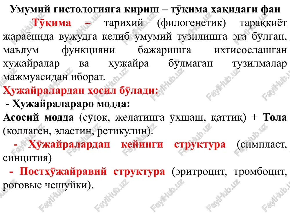 kambiysiz tӯqimalar (yurak mushaklari, asab tӯqimasi, sustentotsitlar). regeneratsiya – tӯqimalarning shikastlangan sӯng qaytadan tiklanishi (fiziologik va reparativ; hujayra ichi, hujayra proliferatsiyasi, tӯqima va organ). qoplovchi epiteliyning umumiy xarakteristikasi 1. organizmning ichki muhitini tashqi muhitdan ajratib turadi 2. hujayralar qavat qavat joylashgan 3. hujayralararo modda yӯq 4. bazal membranasi bor 5. hujayralarning polyar taraflari (apikal va bazal qismi). 6. qon tomirlari yuq –diffuz yuli bilan oziqlanadi 7. nerv uchlari kelib joylashgan 8. hujayralararo birikish 9. regeneratsiya jarayoni yaxshi rivojlangan (hujayraviy va hujayralar ichida) 10. anizomorfnost: gorizontal va vertikal 11. tsitokeratin – markyor epiteliotsitlar uchun 12. rivojlanishi – uch embrion varaqlaridan: ekto-, endo- va mezoderma epitelial tӯqimasi – chegaralovchi tӯqima bӯlib, tana yuzasini, hazi qilish nayining, nafas va siydik chiqarish yӯllarining ichki yuzasini qoplab tӯradi. epiteliy tӯqimasi ikki asosiy guruhga bӯlinadi: qoplovchi va bezli. qoplovchi epiteliy. vazifasi: 1. qoplovchi – organizmning ichki muhitini tashqi muhitdan ajratib turadi (epidermis, ichak epiteliysi va boshqalar). …