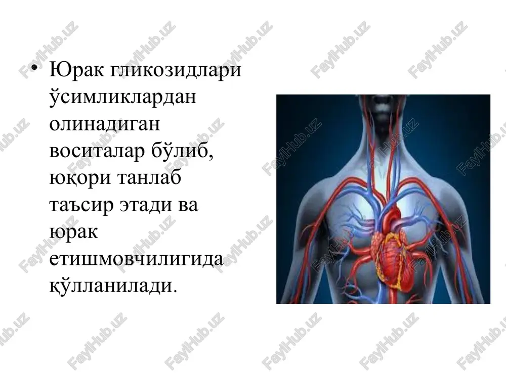 uqch ↑ tremor dobutamin β1,- retseptorlari agonisti «+»ino-, xronotrop ta'sir -, yuqch ↑ , aritmiya amrinon fosfodieteraza blokatori «+»inotrop-, qon tomirlarni kengaytiruvchi ta'sir yuqch ↑ , ↓tana xaroratini , aritmiya, trombotsitopeniya milrinon fosfodieteraza blokato «+»inotrop-, qon tomirlarni kengaytiruvchi ta'sir aritmiya, gipokaliemiya antianginal vositalar . antianginal vositalar - bu vositalar turli kimyoviy tuzilishga va ta'sir mexanizmga ega bo'lib, yurak ishemik kasalligi oldini olish va xurujlarini koldirishda ko'llaniladi. - xuruj og'riqlarining asosi – miokard ishemiyasi bo'lib xurujsimon, to'sh ortida intensiv, siquvchi va chap qo'l soxasiga tarqalishi bilan namoyon bo'ladi .. . organik nitratlar nitroglitserin sustak trinitrolong erinit nitrosorbit izosorbit . . kaltsiy kanallarini blokatorlari fenigidin verapamil amlodipin nifedipin diltiazem β-adrenoblokatorlar anaprilin talinolol metoprolol β-adrenoblokatorlar ta'siri . . . . . miotrop ta'sir etuvchilar dipiridamol reflektor koronorospamzni bartaraf etuvchilar validol andijon davlat tibbiyot instituti farmakologiya, klinik farmakologiya va tibbiyot biotexnologiyalari kafedrasi fan nomi: farmakologiya aritmiyaga qarshi dorilar * miokardda anomal depolyarizatsiya jarayonlari impulslarni …