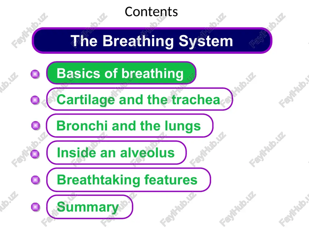 ystem. photo credit: © sebastian kaulitzki, 2012 shutterstock.com boardworks igcse biology breathing running and breathing rates 6 6 teacher notes students could design and carry out their own experiments to investigate the effects of exercise and recovery on breathing rate. breathing rate can me measured manually or with appropriate sensors and data loggers. students should observe appropriate safety measures and you should make sure you are aware of any students with illnesses such as asthma. boardworks igcse biology breathing carbon dioxide one way the brain deals with a build up of carbon dioxide during exercise is by increasing the rate of breathing. the brain can detect the level of carbon dioxide in cells. this increases the rate of gas exchange and the removal of carbon dioxide from the lungs. when the level of carbon dioxide increases during exercise, the brain must coordinate ways to prevent the levels reaching toxic levels. …