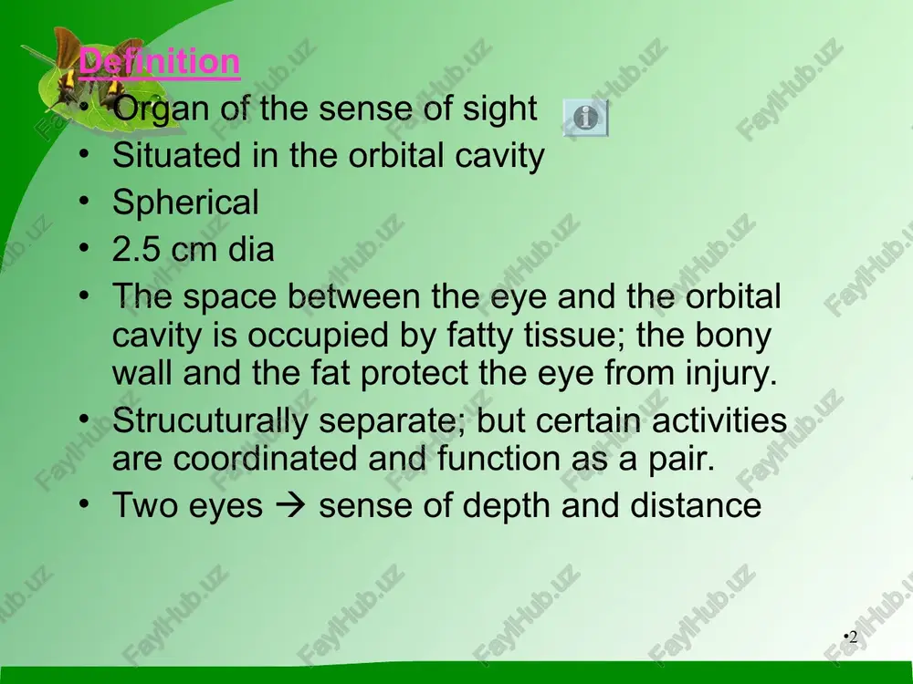 rture – pupil when iris contracts the pupil is constricted and when iris relaxes the iris is dilated – parasympathetic supply - oculomotor * lens highly elastic circular biconvex transparent body behind pupil suspended from the ciliary body by the suspensory ligament eclosed within a transparent capsule thickness controlled by the ciliary muscle contraction of the muscle moves the lens forward thereby reducing the pull on the lens and increasing the thickness of the lens * retina innermost layer stimulated by light rays several layers of nerve cell bodies and their fibres lying on a pigmented layer of epithelial cells the layer highly sensitive to light is thelayer is the layer of rods and cones. macula lutea fovea centralis – only cone shaped cells anteriorly there are fewer cones than rods contain photosensitive pigments convert light rays into nerve impulses. * optic nerve the nerve fibres originate in the retina …