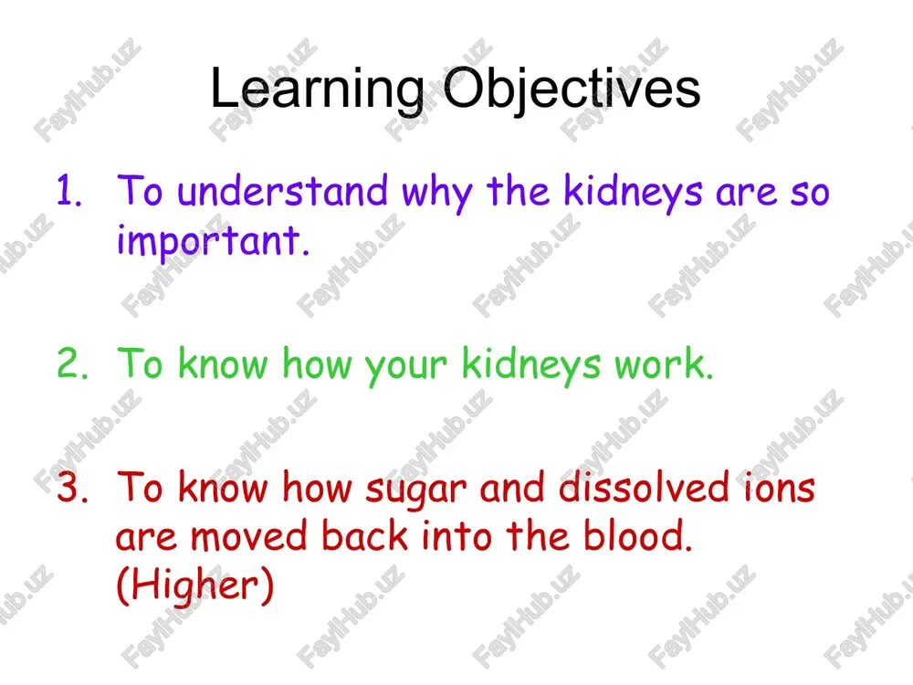 gh the membrane as they are too big. how do your kidneys work? then, all of the sugar is reabsorbed back into the blood by active transport. the amount of water and mineral ions reabsorbed varies depending on what your body needs. this is called selective reabsorption. higher tier both sugar and mineral ions move back into the blood by active transport. this is to make sure no sugar is left in the urine and the correct amount of mineral ions are reabsorbed. how do your kidneys work the amount of water reabsorbed depends on what your body needs by a feedback mechanism. urea is lost in your urine. however, some of it moves from the kidneys back into the blood by diffusion. how do your kidneys work kidneys have a rich blood supply so they constantly produce urine. it moves down the bladder until you wish to empty it. …