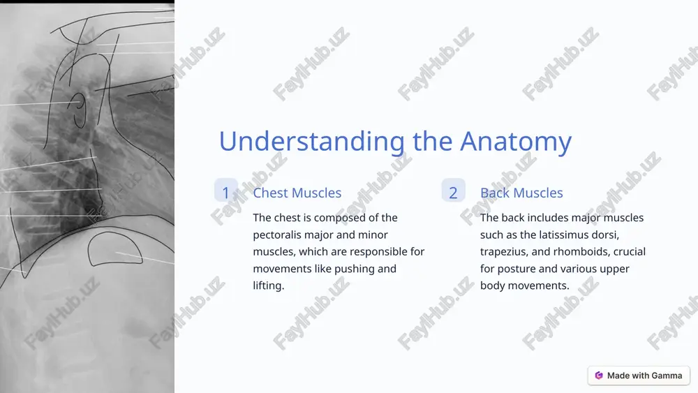 ancing overall strength and flexibility. core strengthening many functional exercises engage the core, leading to improved stability and reduced risk of injury. 8 reaching your fitness goals 1 progress tracking regularly monitor your progress and adjust your workouts to meet specific chest and back strengthening targets. 2 rest and recovery give your muscles time to recover between workouts to prevent overtraining and promote growth. 9 image-1-1.png image-1-2.png image-1-3.png image-2-1.png image-2-2.png image-3-1.png image-4-1.png image-4-2.png image-5-1.png image-5-2.png image-6-1.png image-6-2.png image-7-1.png image-8-1.png image-9-1.png @ made with gamma @ made with gamma @ made with gamma @ made with gamma stion and mobility greater | @ made with gamma @ made with gamma @ made with gamma @ made with gamma @ made with gamma