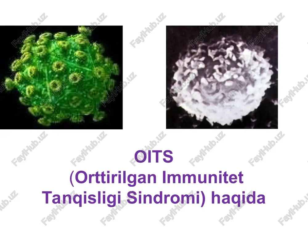 biiy yo’l, ya’ni oivni yuqtirib olgan homilador ayoldan homilaga yoki chaqaloqqa yuqishi. qachon oiv infeksiyasi yuqmaydi? yo’tal yoki aksa urganda; qo’l berib salomlashish, quchoqlashish yoki o’pishishda; umumiy idish-tovoqlar orqali; dush qabul qilishda; basseynda cho’milganda; hashorotlar (chivin, burga, bit) chaqqanda; oiv ta’sirida limfa bezlarining kattalashishi. oits natijasida tana vaznining kamayib ketishi. biz oits ga qarshimiz! antitelolar moddasi,,, antitelolar – immunoglobulinlarning u yoki bu sinfiga mansub murakkab oqsillar. ular organizmda ma’lum antigenlar ta’siri ostida plazmatik hujayralar tomonidan sintezlanadi va shu antigen bilan birikib, uni zararsizlantirish qobiliyatiga ega bo’ladi. hozirgi paytda immunoglobulinlarni 5 sinfi mavjud bo’lib qon oqsillarining taxminan 1g’3 qismini tashkil etadi. antigenlarlarning vazifasi… antigenlar-murakkab organik moddalar bo’lib, ular organizmda o’ziga qarshi ixtisoslashgan javob reaktsiyasi kelib chiqishiga sabab bo’ladi. mikroblar, viruslar, turli xil parazitlar, yot hujayralar va to’qimalar, ba’zida esa organizmning genetik jihatidan o’zgargan (mutatsiyaga uchragan) hujayralar va hokazolar antigenlik xususiyatiga ega bo’lishi mumkin. bundan tashqari yot hujayralar tomonidan ishlab chiqarilgan mahsulotlar …