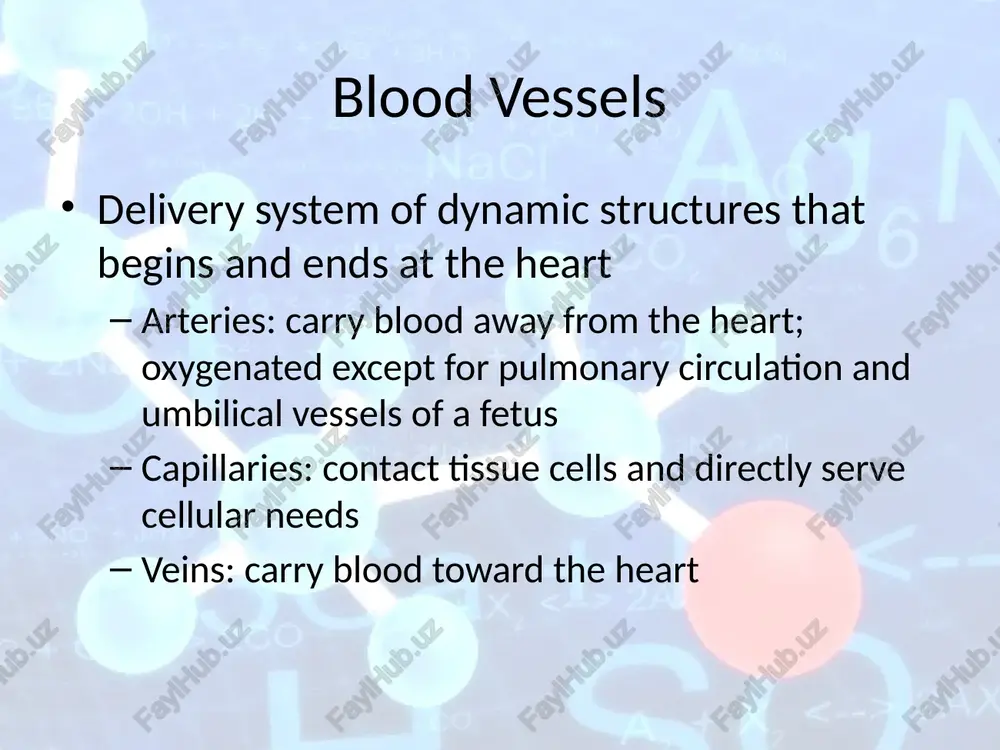 al to elastic arteries; deliver blood to body organs have thick tunica media with more smooth muscle active in vasoconstriction arterioles smallest arteries lead to capillary beds control flow into capillary beds via vasodilation and vasoconstriction capillaries microscopic blood vessels walls of thin tunica intima, one cell thick size allows only a single rbc to pass at a time capillaries in all tissues except for cartilage, epithelia, cornea and lens of eye functions: exchange of gases, nutrients, wastes, hormones, etc. figure 19.2 large veins (capacitance vessels) large lymphatic vessels arteriovenous anastomosis lymphatic capillary postcapillary venule sinusoid metarteriole terminal arteriole arterioles (resistance vessels) muscular arteries (distributing vessels) elastic arteries (conducting vessels) small veins (capacitance vessels) lymph node capillaries (exchange vessels) precapillary sphincter thoroughfare channel lymphatic system venous system arterial system heart capillary beds interwoven networks of capillaries form the microcirculation between arterioles and venules consist of two types of vessels vascular …