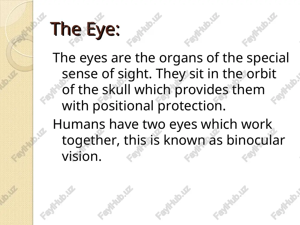 cuss whether the size change occurs in one or both eyes. can students think of any clinical contexts when this may be used (such as in hospital). discuss what may cause changes in pupil size other than light such as flight/fight, drugs and head injury. * constriction a circular pattern of muscle (the sphincter pupillae muscle) when contracted decreases the size of the pupil. this is constriction. this happens in light situations. suggestion teaching notes: with high level students the concept of a reflex arc can be discussed and the neural pathways involved with pupil size changes. * dilation a radial pattern of muscle (the dilator pupillae muscle) when contracted increase the size of the pupil. this is dilation. this happens in dark situations. the inner layer of the eyeball the inner layer of the eyeball is known as the retina which is sensitive to light. on the retina there …