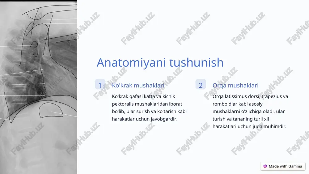 engillashtirishga yordam beradi. 2 oziqlanish protein va yallig'lanishga qarshi oziq-ovqatlarni o'z ichiga olgan muvozanatli ovqatlanish mushaklarning tiklanishiga yordam beradi va og'riqni kamaytiradi. 7 kundalik foydalanish uchun funktsional trening funktsional harakatlar funktsional mashg'ulotlar kundalik harakatlarni simulyatsiya qiladigan, umumiy kuch va moslashuvchanlikni oshiradigan mashqlarga qaratilgan. asosiy mustahkamlash ko'pgina funktsional mashqlar yadroni jalb qiladi, bu esa barqarorlikni oshirishga va shikastlanish xavfini kamaytirishga olib keladi. 8 fitness maqsadlaringizga erishish 1 jarayonni kuzatish taraqqiyotingizni muntazam ravishda kuzatib boring va ko'krak qafasi va belni mustahkamlash maqsadlariga erishish uchun mashqlaringizni sozlang. 2 dam olish va tiklanish ortiqcha mashq qilishning oldini olish va o'sishni rag'batlantirish uchun mashqlar orasida mushaklaringizga tiklanish uchun vaqt bering. 9 image1.png image2.png image3.png image4.png image5.png image6.png image7.png @ made with gamma stion and mobility greater |
