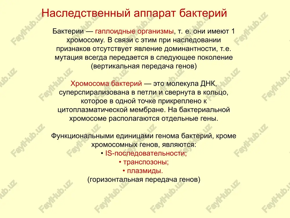sluchae oni obladayut sposobnostyu k avtonomnoy replikatsii. mnogie plazmidi imeyut v svoem sostave geni transmissivnosti i sposobni peredavatsya ot odnoy kletki k drugoy pri kon'yugatsii (obmene geneticheskoy informatsiey). plazmidi plazmidi — koltsevie superspiralevidnie molekuli dnk genotip – obshaya summa genov, kotorimi obladaet mikrobnaya kletka. fenotip – obshiy kompleks morfologicheskix priznakov i fiziologicheskix svoystv mikroorganizma, i slujit vneshnim proyavleniem genotipa. nasledstvennost – sposobnost jivix organizmov soxranyat opredelennie priznaki na protyajenii mnogix pokoleniy. izmenchivost – priobretenie novix priznakov, otlichayushix ix ot drugix pokoleniy pod vliyaniem faktorov vneshney sredi. u bakteriy razlichayut 2 vida izmenchivosti — fenotipicheskuyu i genotipicheskuyu. fenotipicheskaya izmenchivost — ne zatragivaet genotip. modifikatsii ne peredayutsya po nasledstvu i s techeniem vremeni zatuxayut, t. e. vozvrashayutsya k isxodnomu fenotipu cherez bolshee (dlitelnie modifikatsii) ili menshee (kratkovremennie modifikatsii) chislo pokoleniy. genotipicheskaya izmenchivost zatragivaet genotip. v ee osnove lejat mutatsii i rekombinatsii. fenotipicheskaya i genotipicheskaya izmenchivost genotipicheskaya izmenchivost mutatsii 2. rekombinatsii: kon'yugatsiya transduktsiya …
