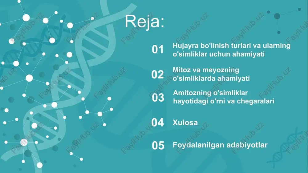 ini ta'minlaydigan jarayon bo'lib, unda genetik material ikki bosqichda bo'linadi va natijada genetik xilma-xillikni ta'minlovchi gametalar hosil bo'ladi. meyoz, asosan, o'simliklarning urug'lanish jarayonida va genetik xilma-xillikni saqlashda muhim ahamiyatga ega. o'sish va rivojlanish: mitoz jarayoni o'simliklarda yangi hujayralarning hosil bo'lishini ta'minlab, o'simliklar o'sishiga yordam beradi. mitozdan keyin hosil bo'lgan yangi hujayralar o'simlikning turli organlarini shakllantiradi.ko'payish: o'simliklar ko'payishda mitoz va meyozdan foydalanadi. mitoz vegetativ ko'payishda, meyoz esa jinsiy ko'payish jarayonida asosiy rol o'ynaydi. meyoz orqali yangi kombinatsiyalar paydo bo'lib, bu o'simliklar populyatsiyasida genetik xilma-xillikni ta'minlaydi.regeneratsiya: mitoz jarayoni o'simliklarning jarohatlarni tiklash, o'zgarishlar va shikastlanishlarga javoban yangi hujayralar hosil qilishiga yordam beradi. bu o'simlikning yuqori adaptiv qobiliyatini ta'minlaydi.. o'sish va rivojlanish:mitoz jarayoni o'simlikning organizmida barcha hujayralar miqdorini oshirib, yangi organlar va tuzilmalarni hosil qiladi. bunda mitozdan foydalanib, o'simliklar ildizlari, barglari, gullari va boshqa organlari kengayadi.mitoz o'simlikda barkamollikni ta'minlaydi, ya'ni ko'plab hujayralar mavjud bo'lib, o'simlikning o'zgarishga nisbatan moslashuvchanligini ta'minlaydi.ko'payish:vegetativ ko'payish: o'simliklar mitoz jarayonidan foydalanib …