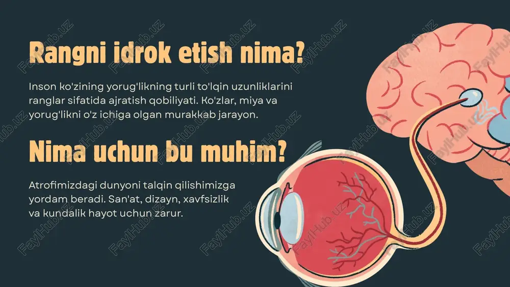 emas. oq nur konusning barcha uch turini teng darajada rag'batlantiradi. ushbu konuslar ranglarni aniqlash va farqlash uchun birgalikda ishlaydi. har bir konus turi faqat bitta o'ziga xos rangga emas, balki bir qator to'lqin uzunliklariga javob beradi. konuslar qanday birga ishlaydi bir yoki bir nechta turdagi konusning etishmasligi. eng keng tarqalgan turi: qizil-yashil rang ko'rligi. rang ko'rligi nima? sabablari genetik omillar. retina yoki optik asabning shikastlanishi. ta'sir muayyan ranglarni farqlashda qiyinchilik. bu qora va oq rangda ko'rishni anglatmaydi. set:nafpc3gb_ly resources page to'siq: nafpc3gb_ly resurslar sahifasi image1.png image2.svg image3.png image4.png image5.png image6.png image7.png image8.png image9.png image10.png image11.png image12.png sdl) _lainiutaaatut at /docprops/thumbnail.jpeg