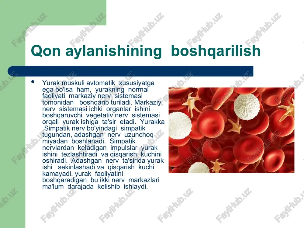 shar bolalarda 80-81% gacha, 10-11 yashar bolalarda 85% katta odamlar qonida 100 gacha yani 100ml qonda 17’3 gr gemoglabin bo’ladi. gemoglabin 70%gacha yoki 100 ml qonda tushganda organizm kasal bo’ladi. qonning ahamiyati. qon odam organizmda muhim ahamiyatga ega bo`lib quyidagi funksiyalarni bajaradi: 1. qonning nafas olish funksiyasi. qon o'pkadan kislorodni qabul qilib, hujayra va to'qimalarga olib boradi. hujayralarda moddalar almashinuvi natijasida hosil bo'lgan karbonat angidrid gazini nafas olish organlariga yetkazadi. qonning transport (tashuvchanlik) funksiyasi. me`daichaklarda hazm bo'lgan oziq moddalar qon va limfatomirlariga so'rilib, qon orqali hujayralarga yetkaziladi. hujayralarda moddalar almashinuvi natijasida hosil bo'lgan qoldiq (zaharli) moddalarni ayirish organlariga yetkazib beradi. qon barcha to'qima va organlar funksiyasining gumorol yo'l bilan boshqarilishida ishtirok etadi. endokrin bezlarda sintez qilingan moddalar qonga o'tib, u orqali to'qima va organlarga yetkaziladi. qonning himoya funksiyasi. organizmga kirgan zaharli moddalar va mikroblar qon tarkibidagi leykositlar tomonidan yutib, parchalab, eritib yuboriladi. bundan tashqari qon zardobtda oqsil zarrachalar (antitelalar) bo'lib, …