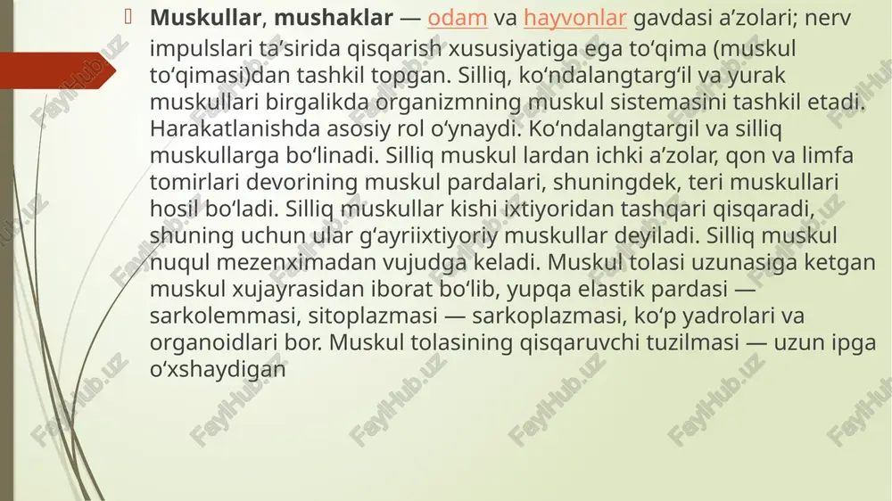 lar koʻp, ular kon bilan moʻl taʼminlangan, limfa tomirlari yaxshi rivojlangan. har bir muskulda harakatlantiruvchi va sezuvchi nerv tolalari bor, ular yordamida markaziy nerv sistemasi bilan aloqa qiladi. bir harakatni bajaradigan muskullar sinergistlar, qarama-qarshi harakatlarni bajaradiganlari antagonistlar deyiladi. skelet muskullar topografik jihatdan tana, bosh, boʻyin, koʻl va oyoq muskullariga ajratiladi. tana muskullari orqa, koʻkrak va qorin muskullaridan iborat. orqa muskullari yuza va chuqur boʻladi. ular kurakni koʻtaradi, uni yaqinlashtiradi va yopishtiradi, boʻyinni yozadi, yelka va qoʻlni orqaga va ichkariga tortadi, nafas olish va chiqarishda qatnashadi. orqaning chuqur muskullari umurtqa pogʻonasini tiklaydi. koʻkrak muskullari xususiy tashqi va ichki qovurgʻalararo muskullar, yelka kamari va qoʻl bilan bogʻlangan katta va kichik koʻkrak muskullari, oʻmrov usti va oldingi tisheimon muskullarga boʻlinadi. tashqari qovurgʻalar-aro muskullar qovurgʻalarni koʻtaradi, ichki muskullar esa nafas olish va chikarishda ishtirok etadi. qorin muskullari tashki va ichki qiyshiq muskullar, qorinning koʻndalang va toʻgʻri muskullari, shuningdek, belning kvadrat muskulidan tashkil topgan. qorin …
