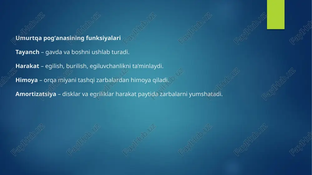 uvchi qismi (tanasi). arcus vertebrae – orqa qismdagi yoy, orqa miya o‘tadigan teshikni hosil qiladi. foramen vertebrale – umurtqa kanali, bu orqali orqa miya o‘tadi. processus spinosus – orqaga qaratilgan chiqindi (teridan seziladi). processus transversus – yon tarafdagi chiqindilar. processus articulares – qo‘shni umurtqalar bilan bog‘lanadigan bo‘g‘im chiqindilari. ko‘krak umurtqalari (pars thoracica) 12 ta umurtqa: t1–t12 har bir umurtqa qovurg‘alar bilan bog‘langan. kamroq harakatlanadi. tana qismlari yirikroq, fovea costalis (qovurg‘a chuqurchalari) mavjud. t1–t12 orasidagi farqlar: t1 – bo‘yin umurtqasiga eng yaqin, atlasga nisbatan o‘ziga xos bo‘ladi, qovurg‘aning to‘liq bo‘g‘im yuzasiga ega. t10–t12 – pastga tushgan sari ko‘proq bel umurtqalari xususiyatlariga ega bo‘la boshlaydi (qovurg‘a bilan faqat bitta bo‘g‘im yuzasi bo‘ladi). t11–t12 – transversal o‘simtalarida qovurg‘a bo‘g‘im yuzalari yo‘q (bu qovurg‘alar suyak bilan emas, mushak bilan bog‘langan). ko‘krak umurtqalari funksiyasi: qovurg‘alar bilan toraks (ko‘krak qafasi) tuzilmasini hosil qiladi – yurak va o‘pkaning himoyasi. tana harakatlarini cheklash orqali barqarorlikni ta'minlaydi. orqa miyani …