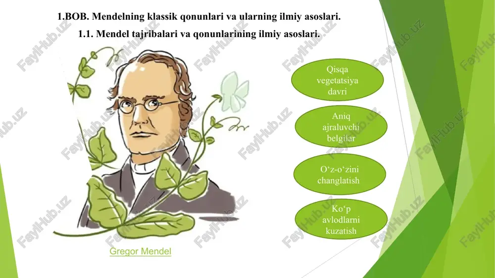 i krossingoverning biologik ahamiyati 1.3. xx asr boshidagi kashfiyotlar va ularning ahamiyati. 1900-yil – mendel qonunlarining qayta kashf etilishi. gregor mendelning irsiyat haqidagi ishlari 1865-yilda e’lon qilingan bo‘lsa-da, ularning ahamiyati 1900-yilda uch nafar olim – genrix de friz, karl korrens va erich chermak tomonidan qayta ochilgandan so‘ng keng tan olindi. 1910-yil – tomas xant morgan va xromosomalarning irsiyatdagi o‘rni: mendel qonunlarining qayta kashf etilishidan so‘ng, olimlar genetik axborot qanday uzatilishini tushunishga harakat qilishdi. shu nuqtada, amerikalik genetik tomas xant morgan va uning izdoshlari meva chivinlari (drosophila melanogaster) ustida olib borgan tajribalari orqali xromosomalarning irsiyatdagi muhim rolini isbotladilar. 1920-yillar – mutatsiya nazariyasi: amerikalik genetik herman myuller 1920-yillarda rentgen nurlari yordamida mutatsiyalarni sun’iy ravishda chaqirish mumkinligini ko‘rsatdi. uning ishlari shuni ko‘rsatdiki, dnk tashqi muhit omillarining ta’siri ostida o‘zgarishi mumkin. 2.bob. mendel qonunlarining zamonaviy genetikadagi o’rni. 2.1. molekulyar genetika va mendel qonunlari. dnk va allellarning ishlash mexanizmi gen ekspressiyasi va mendel qonunlari o‘rtasidagi …