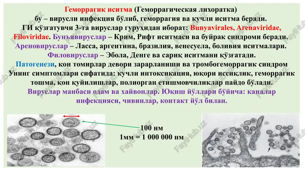 ya manbai: sigir, ot, qo'y, echki, kiyik, tuya hisoblanadi patogenez: infektsiyaning asosiy kirish yo'li shikastlangan teri hisoblanadi, kam hollarda nafas va alimentar yo'l bilan kiradi. kasallik chaqmoqdek tez, juda o'tkir boshlanadi. 1,5 mkm 1mm = 1000 mkm morfologiyasi: qo'zg'atuvchi kirgan joyida serozli-gemorragik, nekrotik karbunkul va regionar limfadenit paydo bo'ladi. birinchi davrida limfa tugunlar kattalashadi, ikkinchi davrida generalizatsiyalanib, sepsis formasiga aylanadi. kuydirgining teri, o'pka va ichak formalari mavjud. teri formasi: 98-99% tashkil qiladi. tananing ochiq joylarida karbunkullar paydo bo'ladi. bosh, bo'yin, og'iz va burun zararlansa kasallik og'ir kechadi. odatda karbunkul bitta bo'ladi, ba'zida 20-tagacha etadi. morfologik jihatdan (tuguncha) papula , vezikula, yara ko'rinishida namoyon bo'ladi. dastlab qizil-ko'kish dog' keyin papulaga aylanadi. 12-24 soatdan keyin papula qonli suyuqlik bilan to'lgan pufakchaga aylanadi. pufakcha yorilib, to'q-jigar rangli yara paydo bo'ladi, yara yuzasi nekroz natijasida qora rangli strup, ya'ni antraxs, yoki qasmoq yoki qoraqo'tir aylanadi. ichak formasida yonbosh ichakning oxirida katta gemorragik o'choq paydo …