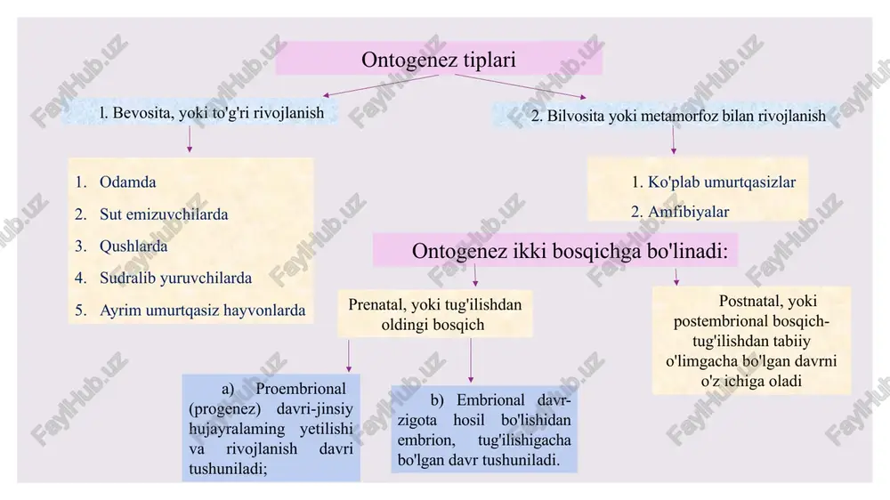 tibsiz bo'linish – kiprikli chuvalchanglar, lentasimon chuvalchanglar, zamburug' hujayralari, hasharotlar. 5. tartibii bo'linish - ayrim kovakichlilarda, ayrim halqali chuvalchanglarda ssifoid planula lichinkasi – yakkapolip – ssifistoma – strobilyasiya jarayoni – aylana disk hosil qiladi - o'q hosil bo'ladi – strobila - yosh meduza - lichinka yoki efir -paypaslagichlari va gonadalari hosil bo'ladi. tartibii bo'linish paratomiya arxitomiya jinssiz ko'payishning morfo-fiziologik asoslari 1. dezintegrasiyasi 2. integrasiyasi 3. somatik embriogenez - bitta, yoki bir nechta somatik hujayradan yangi organizm paydo bo'lishi. 4. klon - bitta hujayra, to'qima yoki organizmning jinssiz (bo'linish) yo'li bilan ko'payishi natijasida hosil qilingan individlar yig'indisi. klon grekcha clon - novda degan ma'noni bildiradi. 5. agam - tuban o'simlik va hayvonlarda urug'lanmasdan ko'payish hodisasi. agam hodisasi umurtqali hayvonlarda, jumladan, kavkaz kaltakesagida ham uchraydi. agam grekcha "a" - yo'q, "gamos" – qo'shilish degan ma' noni bildiradi. regenerasiyaning 2 turi farqlanadi (lotincha regeneratio - tiklanish ): 1. fiziologik regenerasiya. 2. reparativ regenerasiya. …