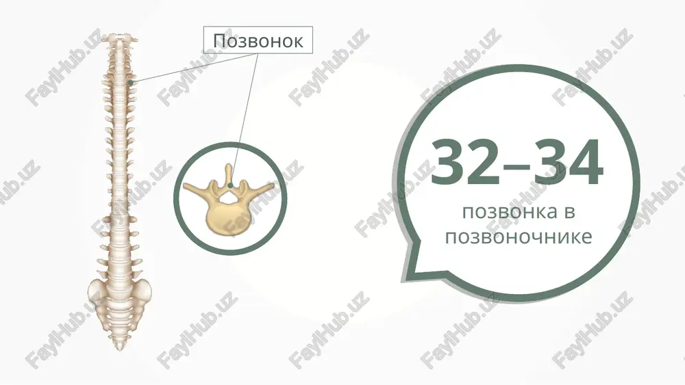 image29.png image30.png /docprops/thumbnail.jpeg