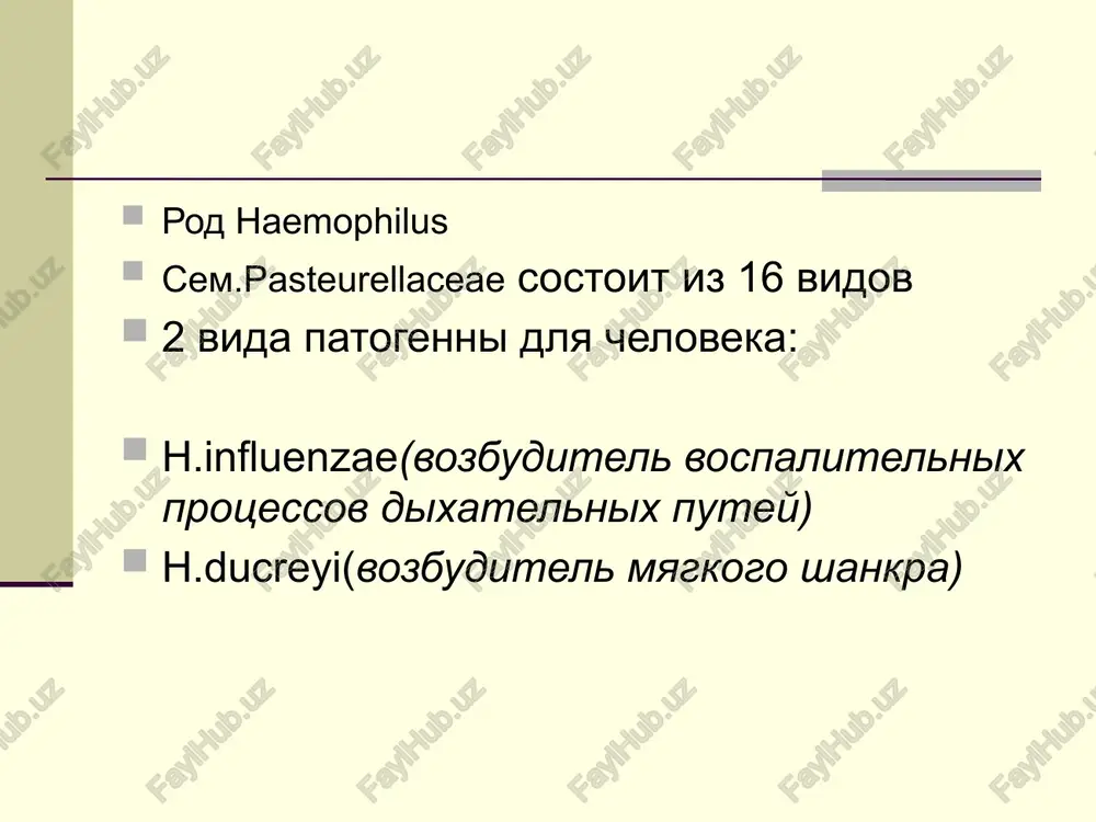 lichnie vospalitelnie protsessi. haemophilus influenzae palochka inflyuentsi predstavlena nebolshimi (kokkobatsillami, raspolagayushimisya v mazkax odinochno ili korotkimi tsepochkami. bakterii xorosho rastut v aerobnix usloviyax. svejevidelennie bakterii imeyut kapsulu. haemophilus influenzae sposobni obrazovivat kapsulu v organizme cheloveka i na pitatelnix sredax. (viyavlyaetsya pri okrashivanii fuksinom pfeyfera 5-15 minut)spor ne obrazuyut. epidemiologiya palochki inflyuenzi. rasprostranennost palochki afanaseva-pfayffera palochka inflyuentsi patogenna tolko dlya cheloveka. v bolshinstve sluchaev palochka inflyuentsi lokalizuetsya v nosoglotke. sredi zdorovix lits nositelstvo mojet dostigat 90%-lokalizatsiya na sliz.obol.verxnix dix.putey,v polosti rta, srednego uxa,sliz. obolochka vlagalisha.; u 3-5% otmechayut nositelstvo kapsulirovannix shtammov, preimushestvenno tipa b. zabolevaniya, vizivaemie haemophilus influenzae, registriruyut povsemestno, a vo mnogix stranax oni endemichni. ejegodno (s chastotoy 1:2000) registriruyut meningiti, vizvannie palochkoy inflyuentsi tipa b. naibolee vospriimchivaya gruppa — deti v vozraste ot 3 mes do 6 let. dlya detey ot 3 mes do 3 let veroyatnost razvitiya sistemnix form, vizvannix serovarom b, posle kontakta s pervichnim bolnim v …