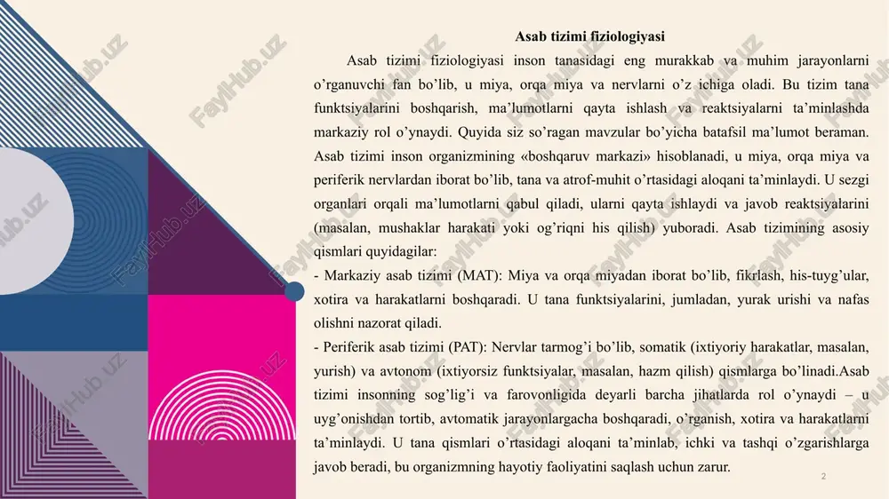 a moslashish va ichki muhitni saqlash vazifalarini bajaradi. asab tizimi asosan markaziy va periferik qismlarga bo’linadi, ammo ular bir-biri bilan uzviy bog’liq holda ishlaydi. umumiy tuzilishi jihatidan asab tizimi neyronlar va glial hujayralardan iborat bo’lib, ular orqali ma’lumotlar uzatiladi va qayta ishlanadi. asab tizimining asosiy vazifalari quyidagilardan iborat: sensor ma’lumotlarni qabul qilish, ularni tahlil qilish, javob reaktsiyalarini shakllantirish, harakatlarni muvofiqlashtirish, emotsiyalarni boshqarish va xotirani saqlash. bu tizim endokrin tizim bilan birgalikda ishlaydi, ammo asab tizimi signal uzatish tezligi va aniqligi jihatidan ustunlikka ega, chunki u millisekundlar ichida javob beradi 3 markaziy va periferik asab tizimlari o’rtasidagi farq 4 markaziy asab tizimi (mat) va periferik asab tizimi (pat) o’rtasidagi farq ularning anatomik joylashuvi, himoya darajasi va funksional mas’uliyatida namoyon bo’ladi. mat miya va orqa miyadan iborat bo’lib, u bosh suyagi va umurtqalar ichida joylashgan, meninglar (miya pardalari) va serebrospinal suyuqlik bilan himoyalangan. bu tizim ma’lumotlarni qayta ishlash va qaror qabul qilish …