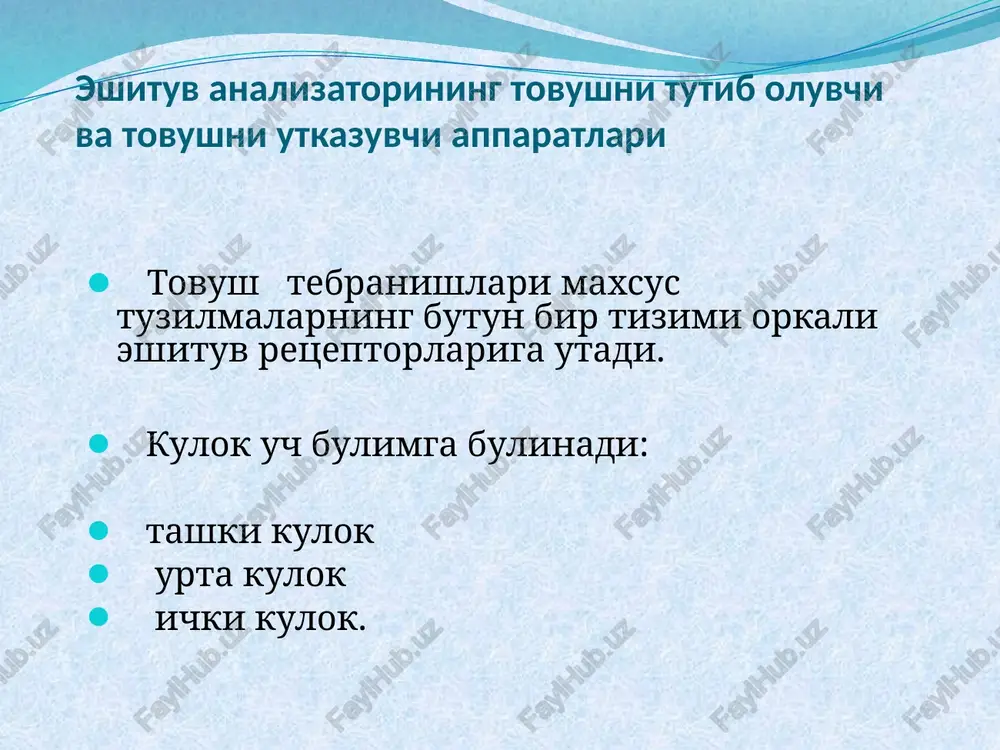 nogora narvoncha bilan tutashadi. nogora narvoncha esa yumalok darcha soxasida boshlanadi. chiganokning yukori va pastki kanallari perilimfa bilan tula. perilimfa tarkibi jixatidan orka miya suyukligiga uxshaydi. oval darcha bilan yumalok darcha membranalari kanallar perilimfasini urta kulokninng xavoli bushligidan ajratib turadi. yukori va pastki kanallar urtasida parda kanal bor. bu kanal bushligi chiganokning boshka kanallari bushligiga tutashmaydi va u endolimfa bilan tulgan. endolimfani kanalning tashki devoridagi stria vascularis degan maxsus tomirli tuzilma ishlab chikaradi. endolimfadagi k+ ionlarining mikdori perilimfadagiga nisbatan 100 marta kup, na+ mikdori esa 10 marta kam. shu sababli endolimfa perilimfaga nisbatan musbat zaryadlangan. chiganokning urta kanali ichida, asosiy membranada tovushni sezuvchi apparat – kortiy a'zo retseptorlari joylashgan. ana shu xujayralar tovush tebranishlarini nerv impulsiga aylantiradi. asosiy membranada retseptor xujayralar 2 kavat bulib joylashadi. ularning ichki kavati bir kator retseptor xujayralardan tuzilgan. ularning umumiy mikdori 3500 ta. tashki kavat 3-4 kator xujayralardan iborat bulib, ularning umumiy mikdori 12000-20000 ga …