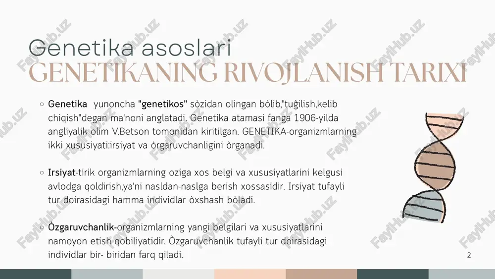5 "x" belgisi 6 chatishtirish ona organizm (venera-zuhro kòzgusi) ota organizm(mars qalqoni va nayzasi) lotincha"parent" ota ona degani duragaylardan hosil bòlgan gametalar duragaylashda olingan birinchi avlod ikkinchi avlod duragay "fillio" sòzidan olingan bòlib bolalar"f" harfi "f²" belgisi "f¹" belgisi "g" harfi "p" harfi "♀" belgisi "♂" belgisi genetik simvollar g.mendel qonunlari irsiyat qonunlarini dastlab chex olimi gregor mendel tomonidan 1865- yilda e'lon qilingan. uning tadqiqotlari uzoq vaqtgacha to'g'ri baholanmay kelindi. 1900- yilda mendel tadqiqotlari uch yirik olim g.de-friz, e.chermak va k.korrenslar tomonidan qayta kashf etildi va tasdiqlandi. shuning uchun 1900- yil biologiyaning yangi sohasi - genetikaga asos solingan yil hisoblanadi. mendel o'z tajribalarida dastavval bitta belgisi, so'ngra ikkita va nihoyat, uchta va undan ortiq belgisi bo'yicha keskin farq qiluvchi no'xat navlarini chatishtirdi. hosil bo'lgan duragaylar bir necha avlod (f., f2, f₁) davomida tekshirildi. bunda har qaysi duragay o'simlikning avlodini alohida o'rganishga e'tibor berildi. 7 mendel qo'llagan usul - duragaylash yoki …