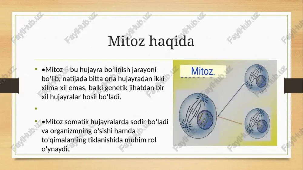 tlashad_ gomologjuflar metafaza va fragmentlaralmashinadi _plastinkasida bir qator qi xtomatidalar (krossingover) boli oylashaci bir - biridan aralmaydi hear bir xromosomada ltkitadan (ir xil brmagan) ‘az wrometidelar mevjud ‘mitozning biologik ahamiyati shundan iboratki, hujayraning bo'linishi natijasida hosil bo'igan ikkita yangi hujayralarda xromosomalar qa'tiy bir tekisda tagsimlanadi bro.la py o| 09's w-6) o 2 eso mitoz jarayoni /docprops/thumbnail.jpeg mitoz va meyoz