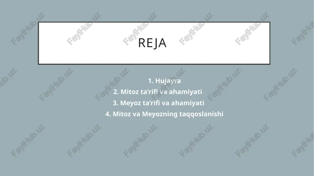 uii; — 202¢ tipodasa i 2n4c chhtethyeckhit; 2n4c meratpasa i 2n4c nocrenuteruyeckuii. 2n4c anada3a i in2¢c iipodasa 2n4c tenodasa i in2c metaqa3a 2n4c tipodasa ii in2c anada3a 2n2e meradaza ii in2c tenomasa 2n2c anadasa ii in2c tenoda3a ii inle 2n — qumi0“aheik hagop xpomocom; in — ranson_hbiii hag6op xpomocom; ¢— kom4ectbo xpomat: /docprops/thumbnail.jpeg iyogene loyiha shi