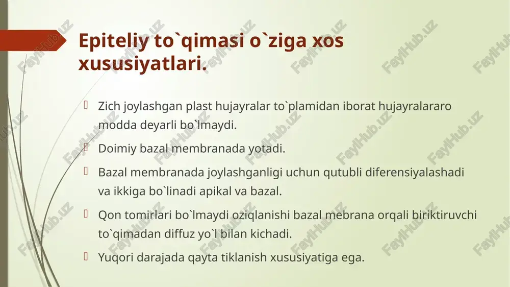 nkalardan tuzilgan, ular so‘rilish yuzasini kengaytiradi 1 –siydik yig`uvchi naychaning ko`ndalang kesimi 2- kubsimon epiteliy hujayrasi 3- hujayra yadrosi bir qavatli silindirsimon epiteliy asosan hazm qilish, siydik ajratish va tanosil organlarida uchraydi; me’da, ichak, o ‘t pufagining ichki yuzasi, jigar va me’da osti bezining chiqaruv naylarini, buyrak kanalchalarini, bachadon va bachadon nayini qoplaydi. me’dadagi prizmatik va ichakdagi qadahsimon hujayralar ishlab chiqargan shilliq moddasida kislotali va neytral glikozaminoglikanlar aniqlangan. bir qavatli ko`p qatorli epiteliy bu epiteliy nafas yo‘llarining devorini va jinsiy sistem aning ayrim qismlarini qoplaydi. bu epiteliyda har bir hujayra bazal membranada yotadi, hujayralarning shakli turlicha va shu sababli yadrolari har xil tekislikda yotadi. ko`p qavatli yassi muguzlanmaydigan epiteliy bu epiteliy og‘iz bo‘shlig‘ining ichki yuzasini, qizilo‘ngachning shilliq qavatini va ko‘zning muguz pardasini qoplaydi. 1-bazal hujayralar qavati; 2 - tikanaksimon hujayralar qavati; 3 -yassi h u jayralar qavati; i -bazal membrana; ii - biriktiruvchi to 'qima . ko`p qavatli yassi muguzlanadigan …